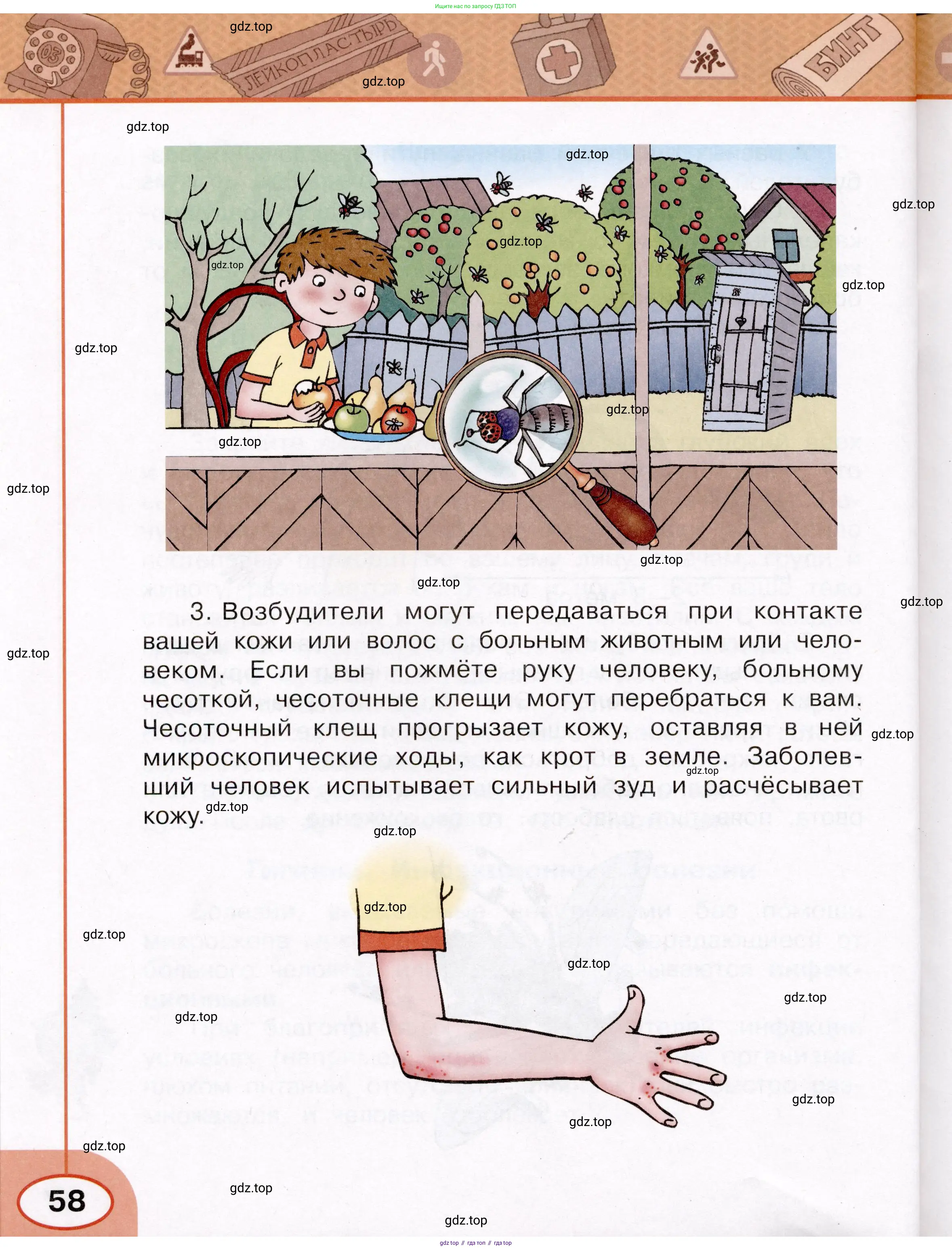 Окружающий мир, 3 класс рабочая тетрадь, автор: Ижевский Павел Владимирович, издательство Просвещение, Москва, 2019, белого цвета, страница 58