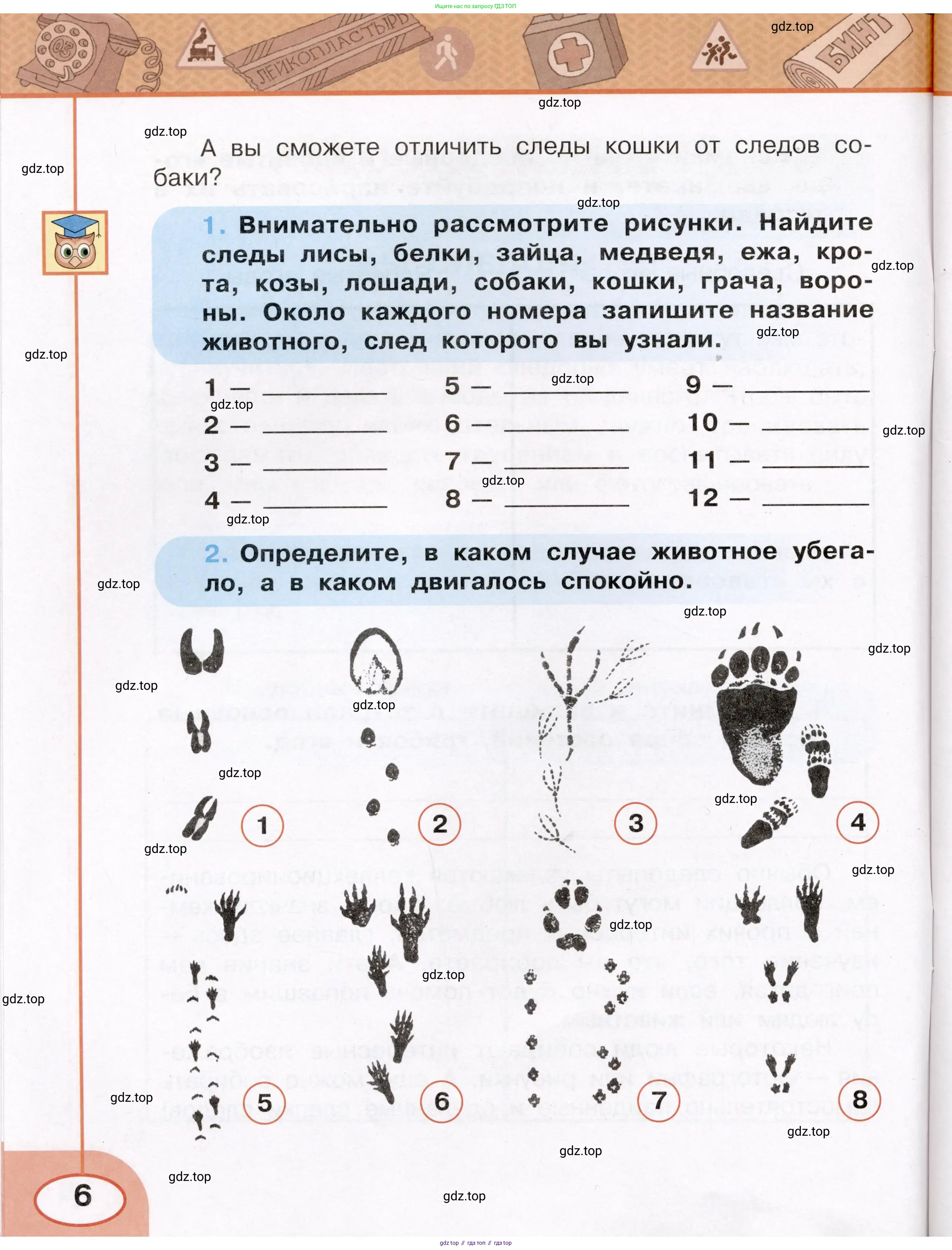 Окружающий мир, 3 класс рабочая тетрадь, автор: Ижевский Павел Владимирович, издательство Просвещение, Москва, 2019, белого цвета, страница 6