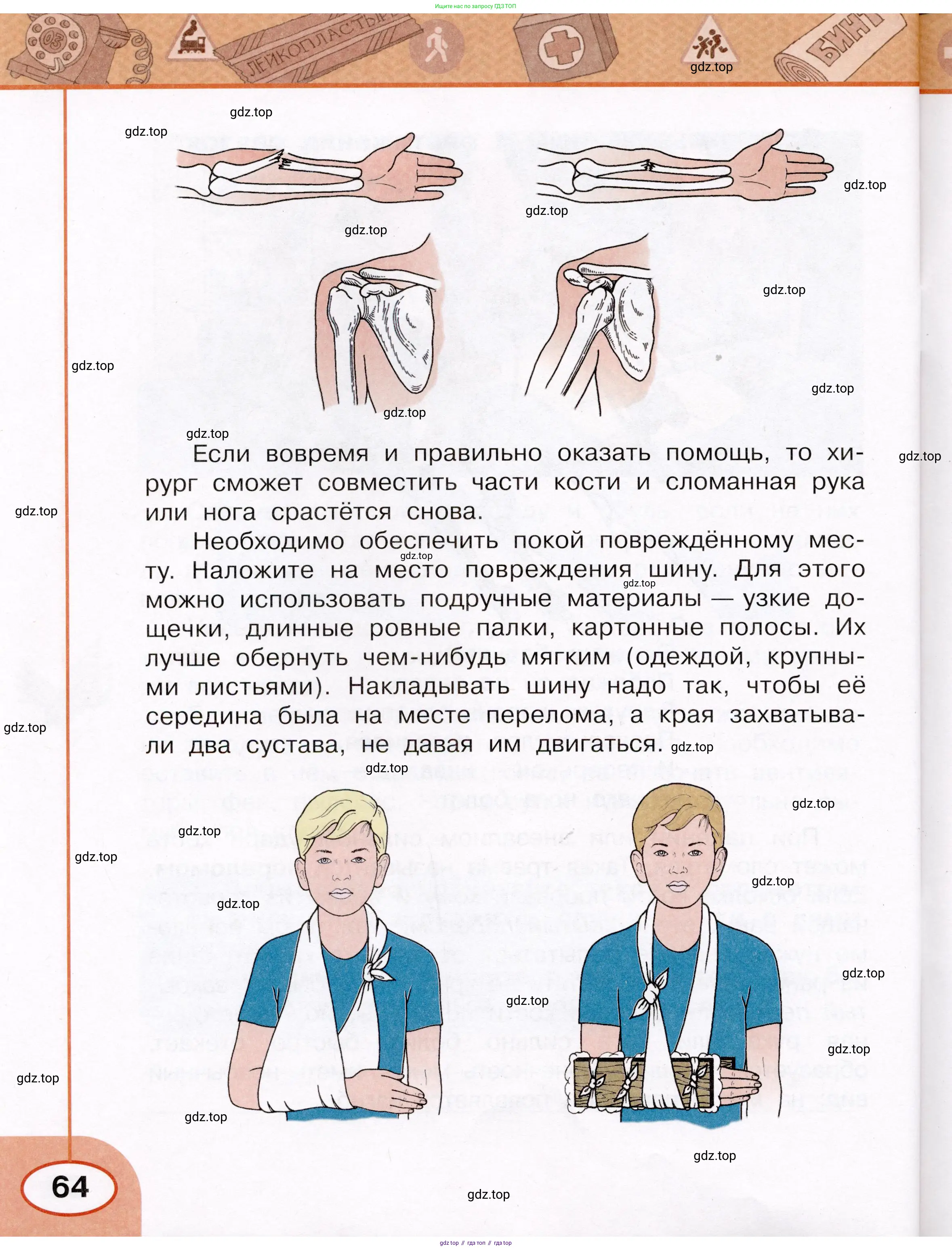 Окружающий мир, 3 класс рабочая тетрадь, автор: Ижевский Павел Владимирович, издательство Просвещение, Москва, 2019, белого цвета, страница 64