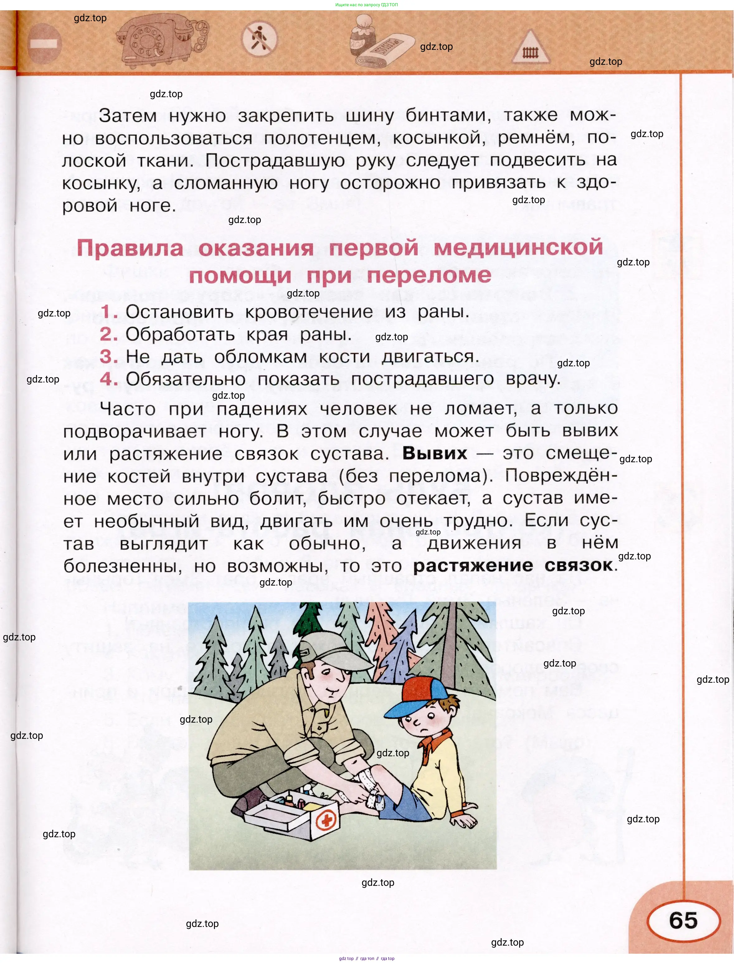 Окружающий мир, 3 класс рабочая тетрадь, автор: Ижевский Павел Владимирович, издательство Просвещение, Москва, 2019, белого цвета, страница 65