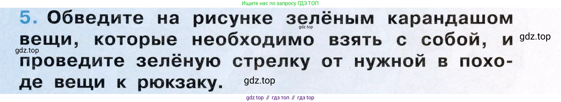 Окружающий мир, 3 класс рабочая тетрадь, автор: Ижевский Павел Владимирович, издательство Просвещение, Москва, 2019, белого цвета, страница 17, номер 5, Условие