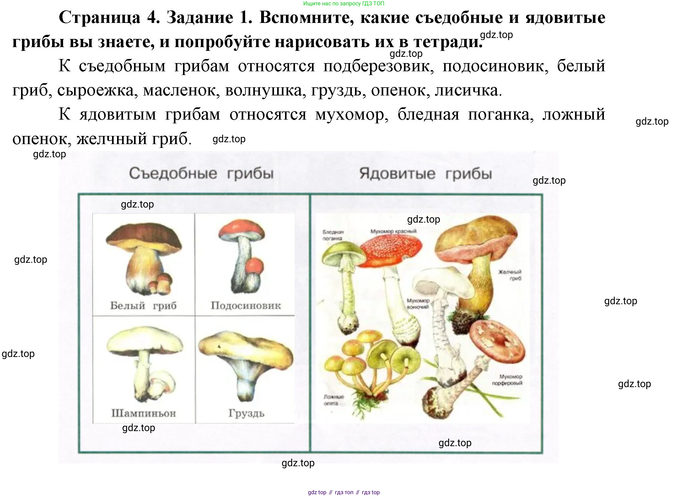 Окружающий мир, 3 класс рабочая тетрадь, автор: Ижевский Павел Владимирович, издательство Просвещение, Москва, 2019, белого цвета, страница 4, номер 1, Решение
