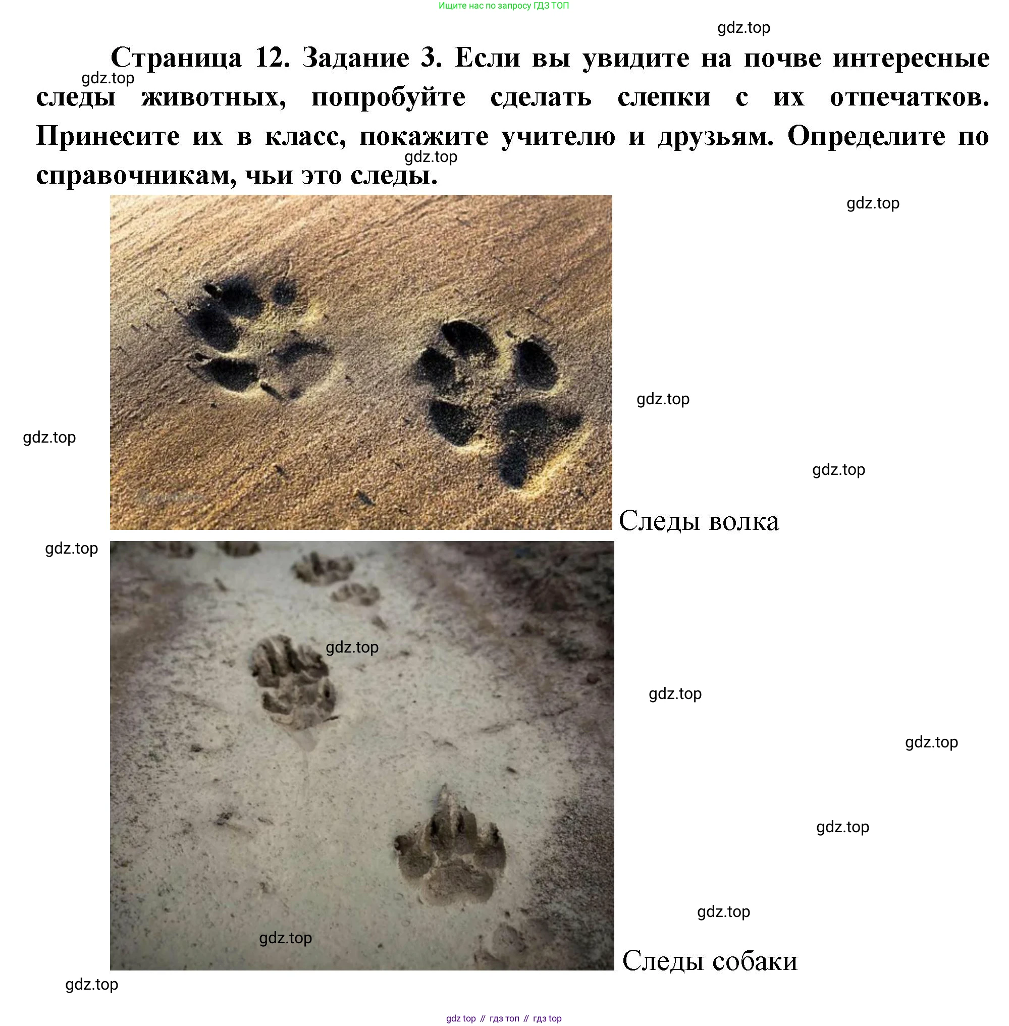 Окружающий мир, 3 класс рабочая тетрадь, автор: Ижевский Павел Владимирович, издательство Просвещение, Москва, 2019, белого цвета, страница 12, номер 3, Решение