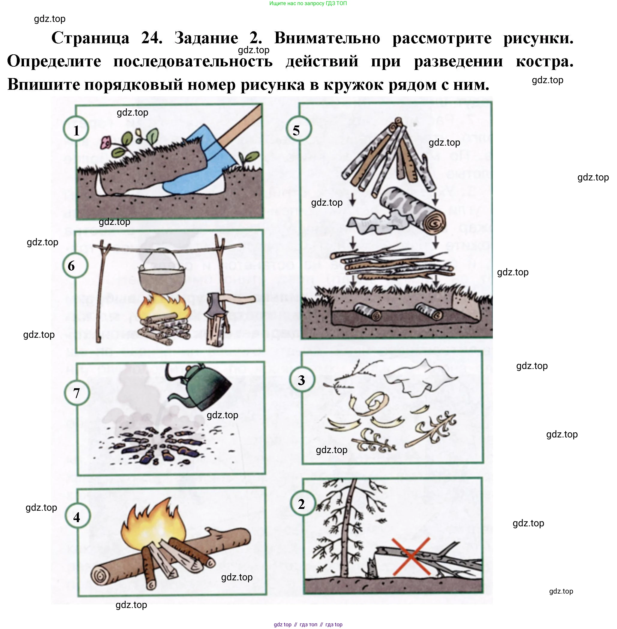 Окружающий мир, 3 класс рабочая тетрадь, автор: Ижевский Павел Владимирович, издательство Просвещение, Москва, 2019, белого цвета, страница 24, номер 2, Решение