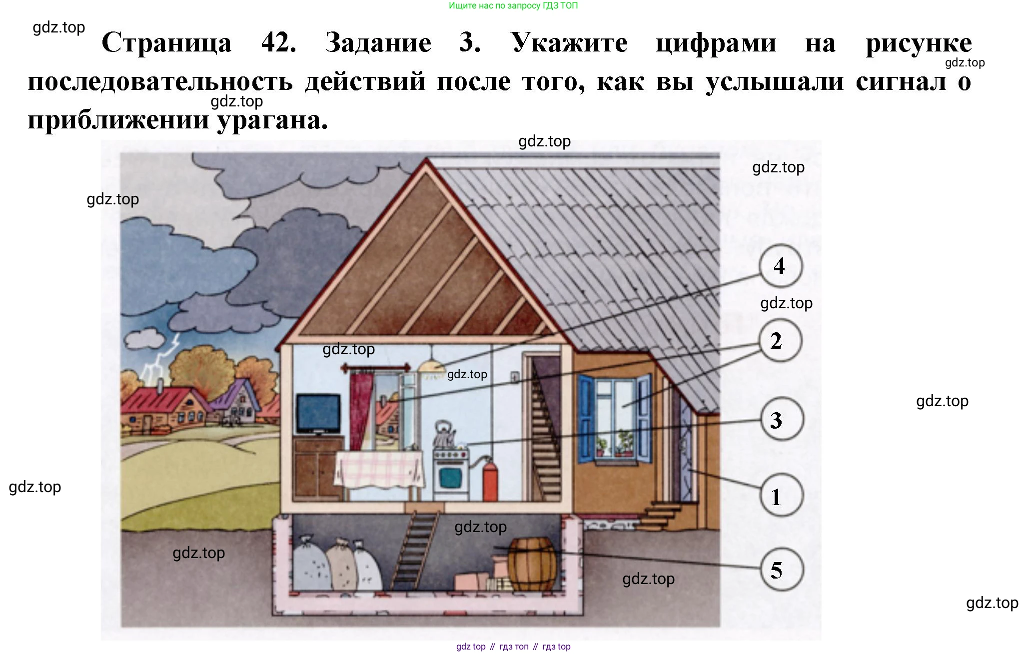 Окружающий мир, 3 класс рабочая тетрадь, автор: Ижевский Павел Владимирович, издательство Просвещение, Москва, 2019, белого цвета, страница 42, номер 3, Решение