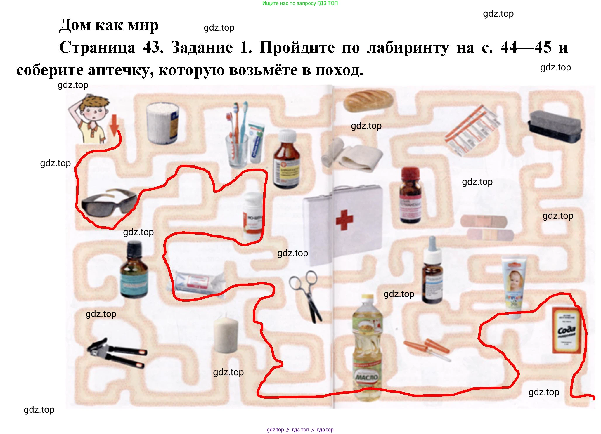 Окружающий мир, 3 класс рабочая тетрадь, автор: Ижевский Павел Владимирович, издательство Просвещение, Москва, 2019, белого цвета, страница 43, номер 1, Решение