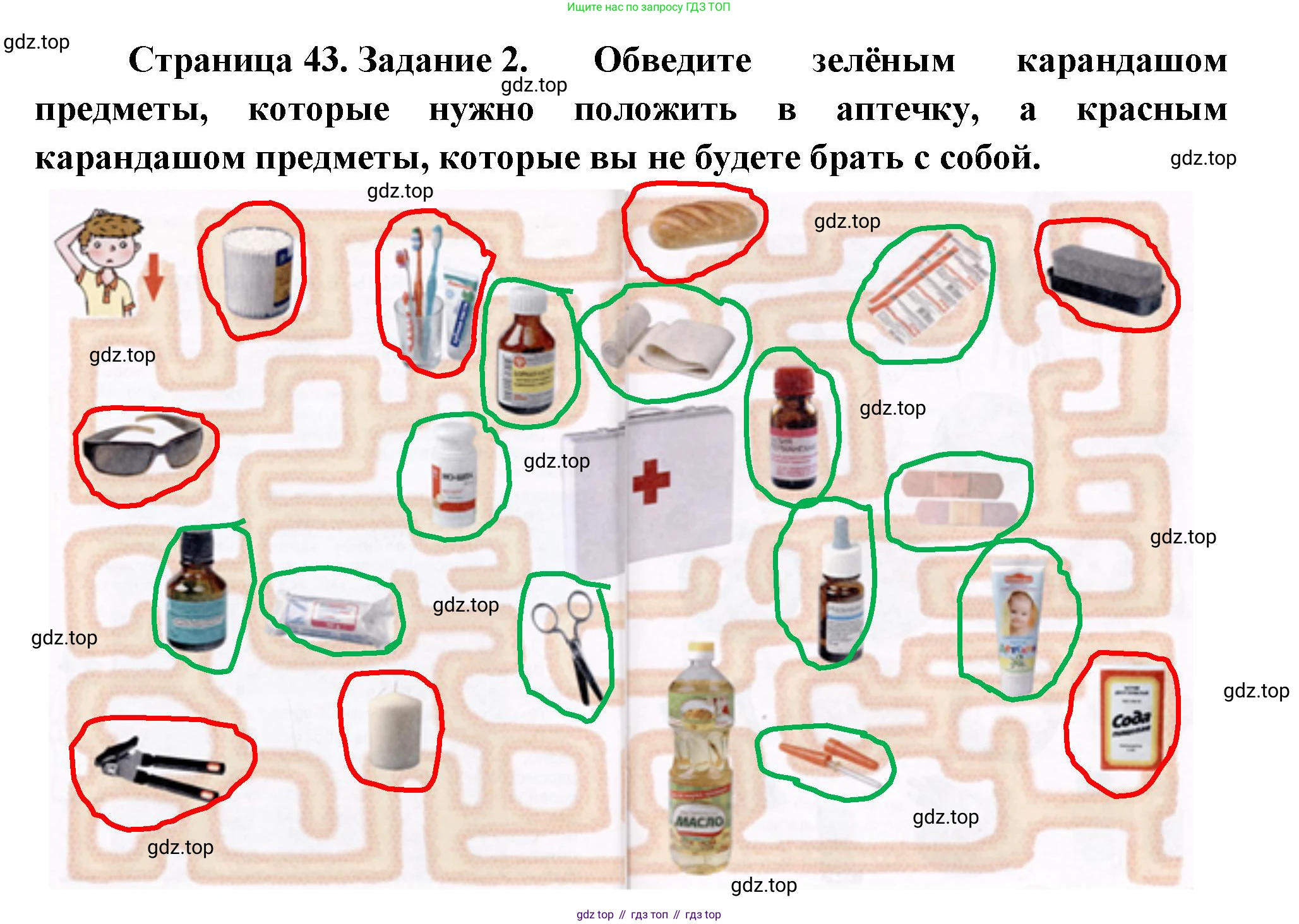 Окружающий мир, 3 класс рабочая тетрадь, автор: Ижевский Павел Владимирович, издательство Просвещение, Москва, 2019, белого цвета, страница 43, номер 2, Решение