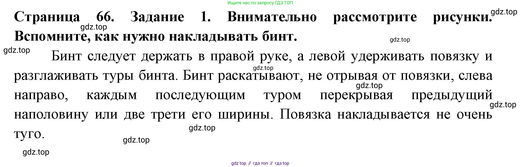 Окружающий мир, 3 класс рабочая тетрадь, автор: Ижевский Павел Владимирович, издательство Просвещение, Москва, 2019, белого цвета, страница 66, номер 1, Решение