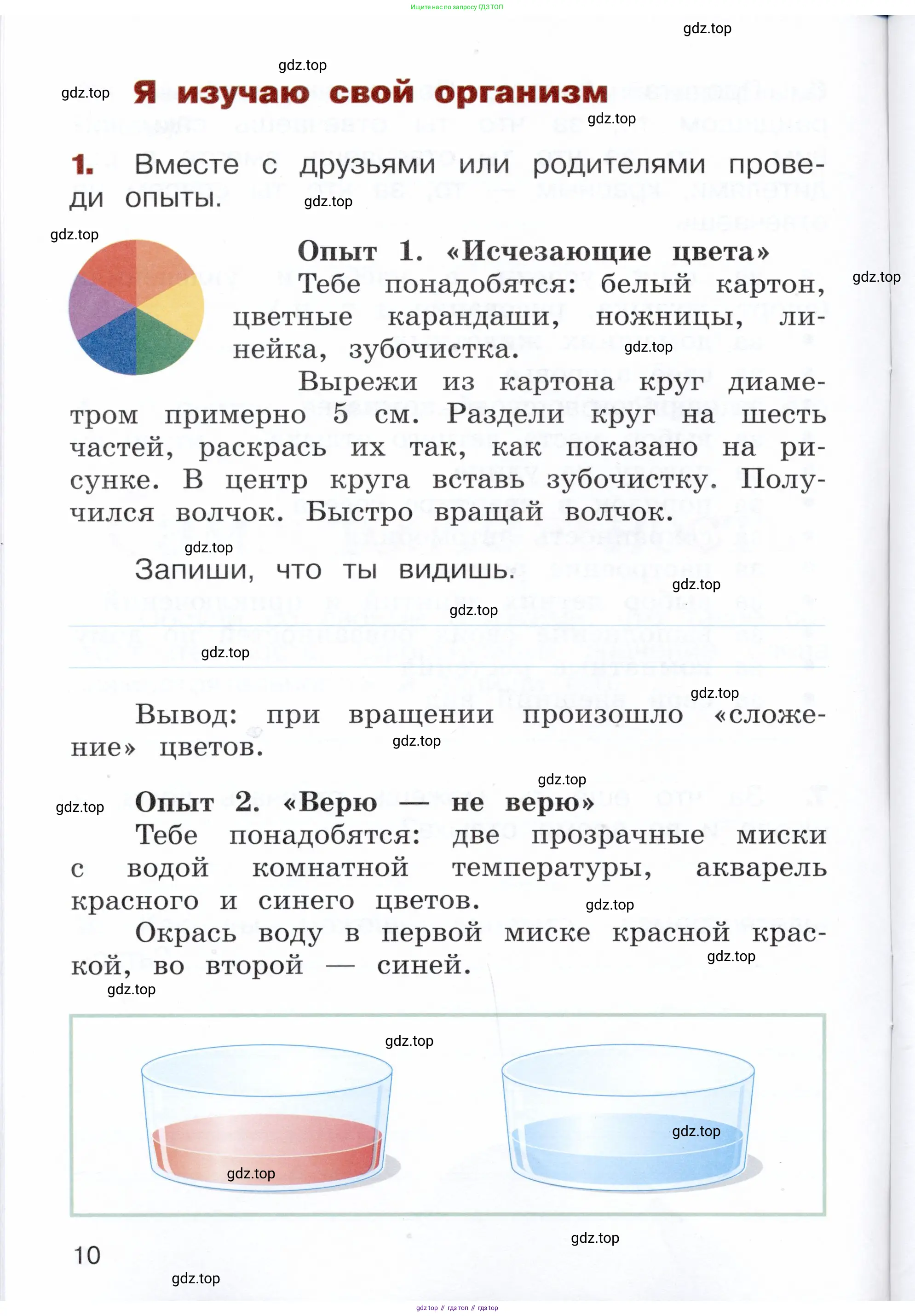 Окружающий мир, 3 класс Летние задания, авторы: Казанцева Ирина Викторовна, Архипова Ю И, Глаголева Юлия Игоревна, издательство Просвещение, Москва, 2022, белого цвета, страница 10
