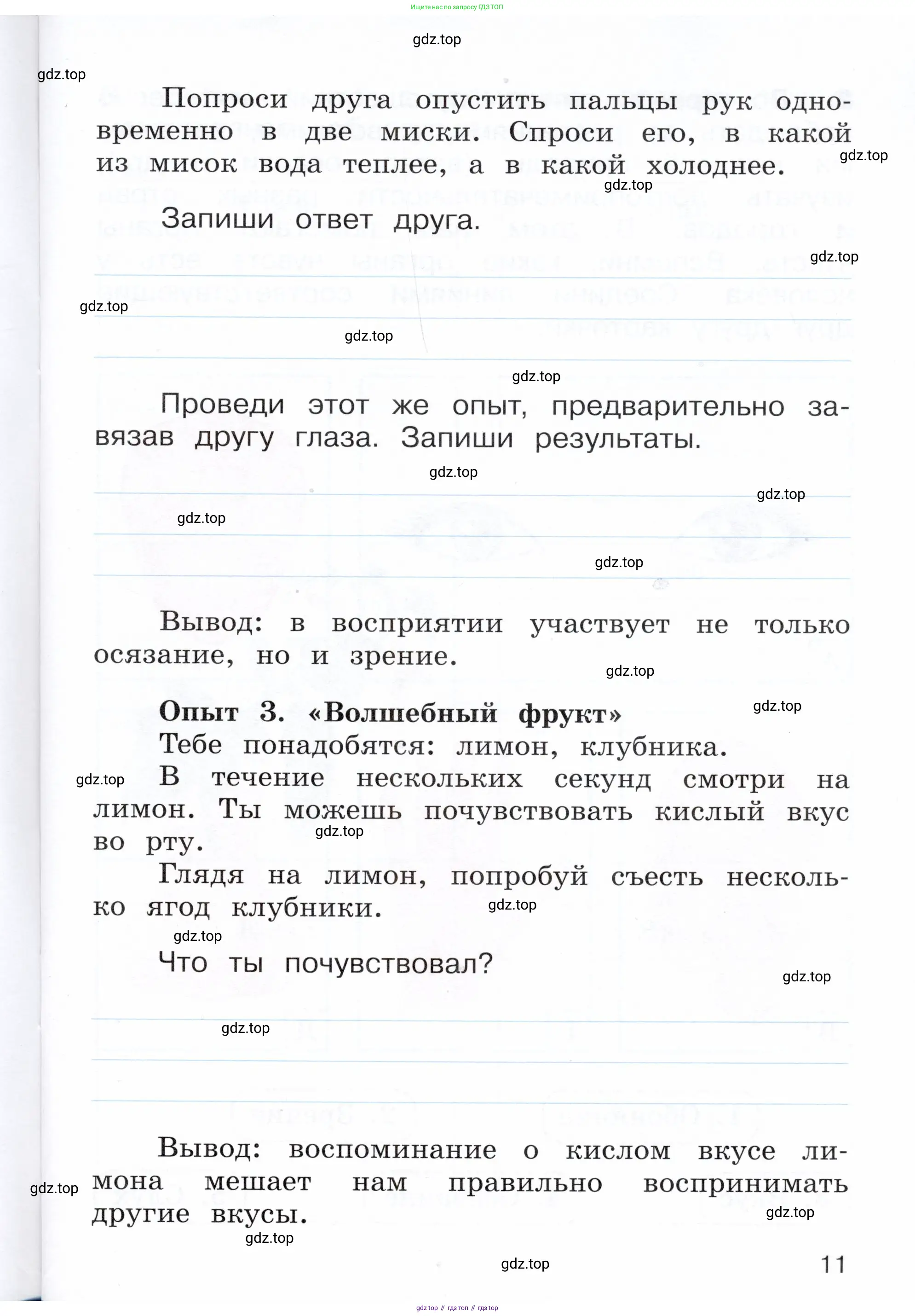 Окружающий мир, 3 класс Летние задания, авторы: Казанцева Ирина Викторовна, Архипова Ю И, Глаголева Юлия Игоревна, издательство Просвещение, Москва, 2022, белого цвета, страница 11