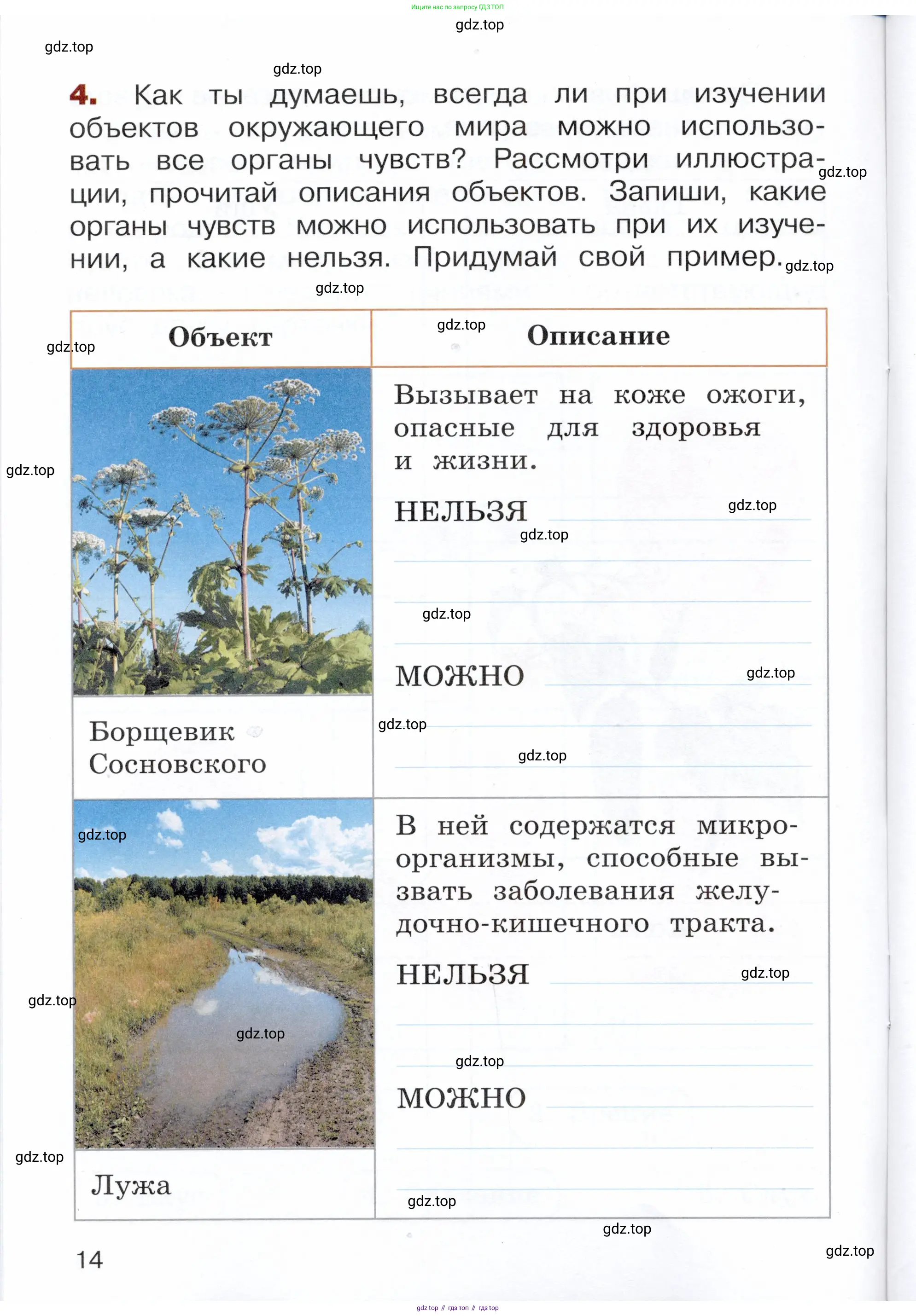 Окружающий мир, 3 класс Летние задания, авторы: Казанцева Ирина Викторовна, Архипова Ю И, Глаголева Юлия Игоревна, издательство Просвещение, Москва, 2022, белого цвета, страница 14