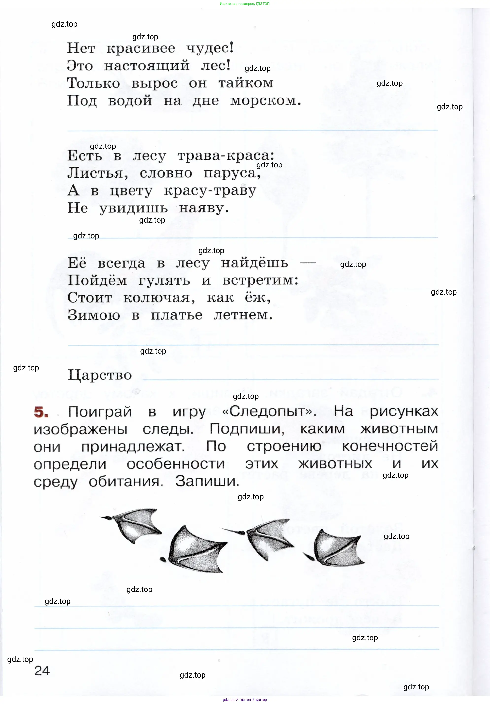 Окружающий мир, 3 класс Летние задания, авторы: Казанцева Ирина Викторовна, Архипова Ю И, Глаголева Юлия Игоревна, издательство Просвещение, Москва, 2022, белого цвета, страница 24