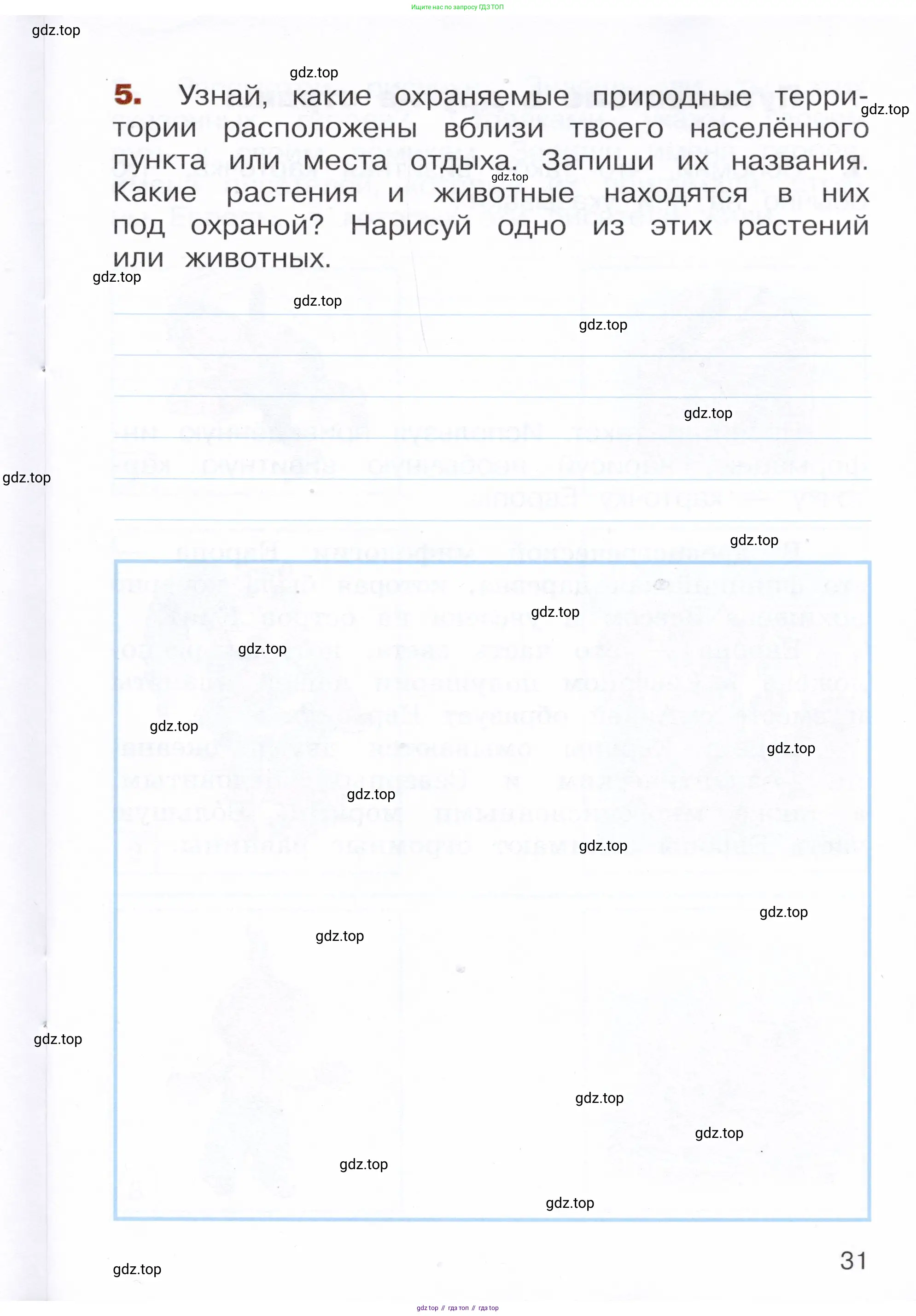 Окружающий мир, 3 класс Летние задания, авторы: Казанцева Ирина Викторовна, Архипова Ю И, Глаголева Юлия Игоревна, издательство Просвещение, Москва, 2022, белого цвета, страница 31