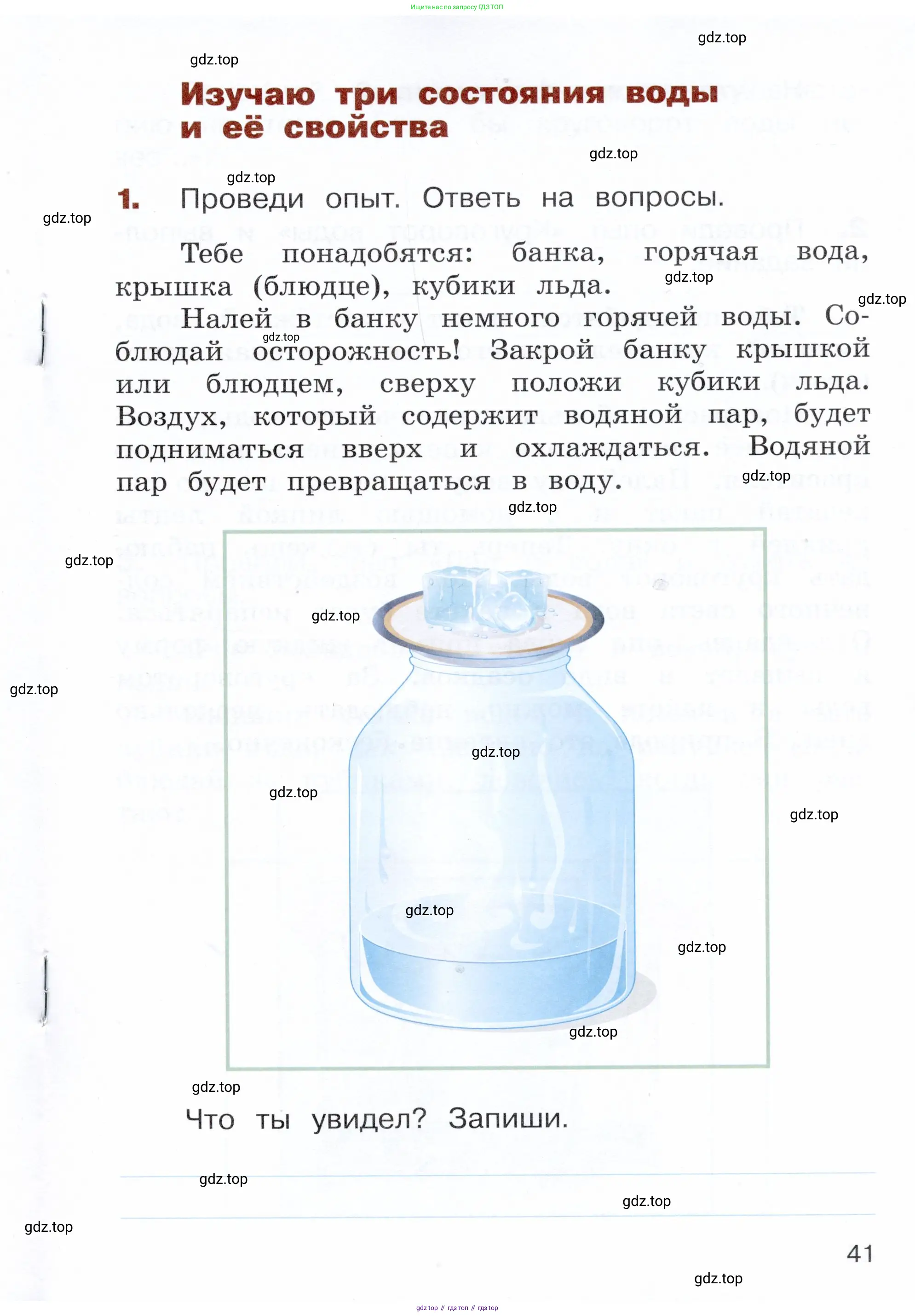 Окружающий мир, 3 класс Летние задания, авторы: Казанцева Ирина Викторовна, Архипова Ю И, Глаголева Юлия Игоревна, издательство Просвещение, Москва, 2022, белого цвета, страница 41