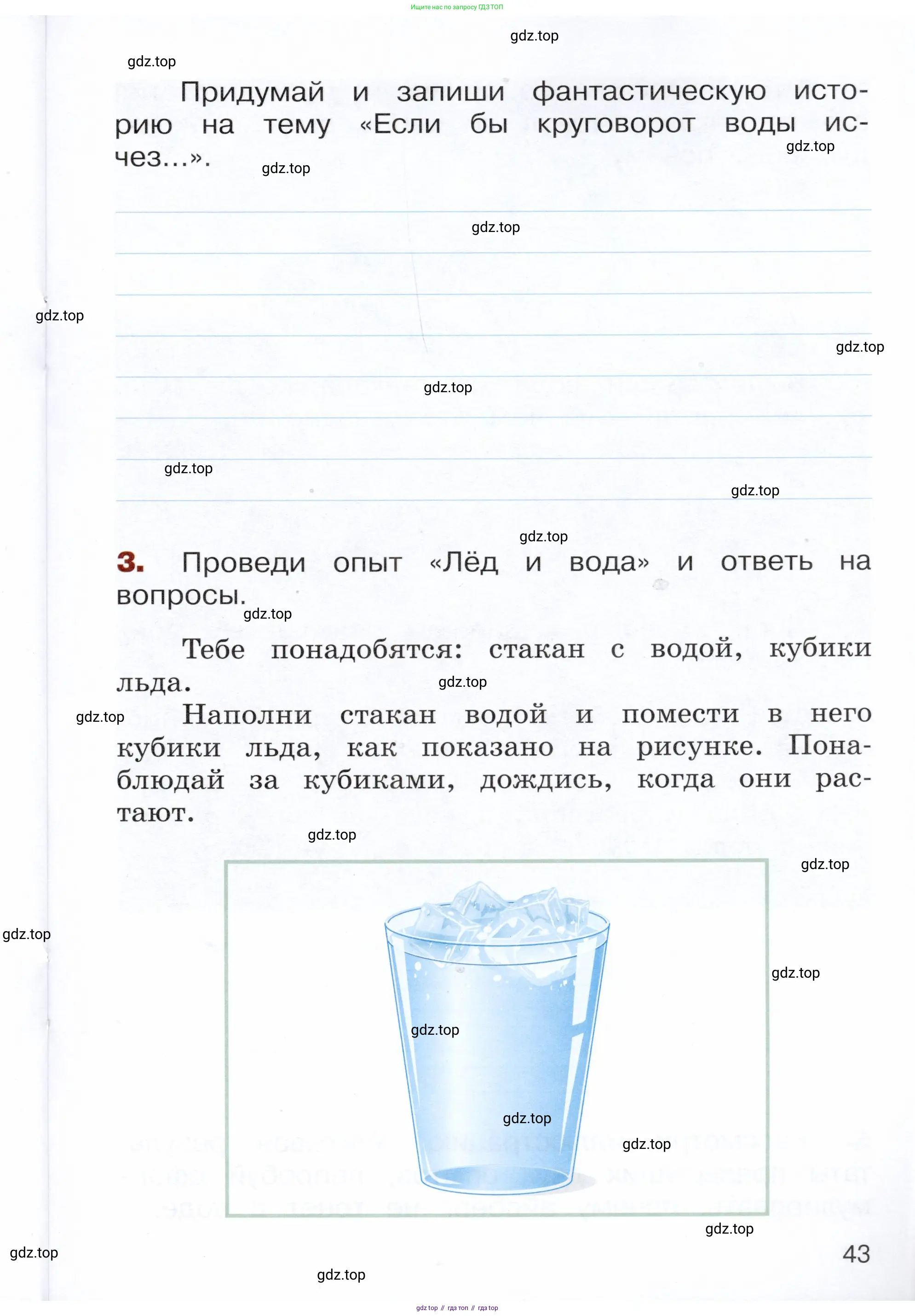 Окружающий мир, 3 класс Летние задания, авторы: Казанцева Ирина Викторовна, Архипова Ю И, Глаголева Юлия Игоревна, издательство Просвещение, Москва, 2022, белого цвета, страница 43