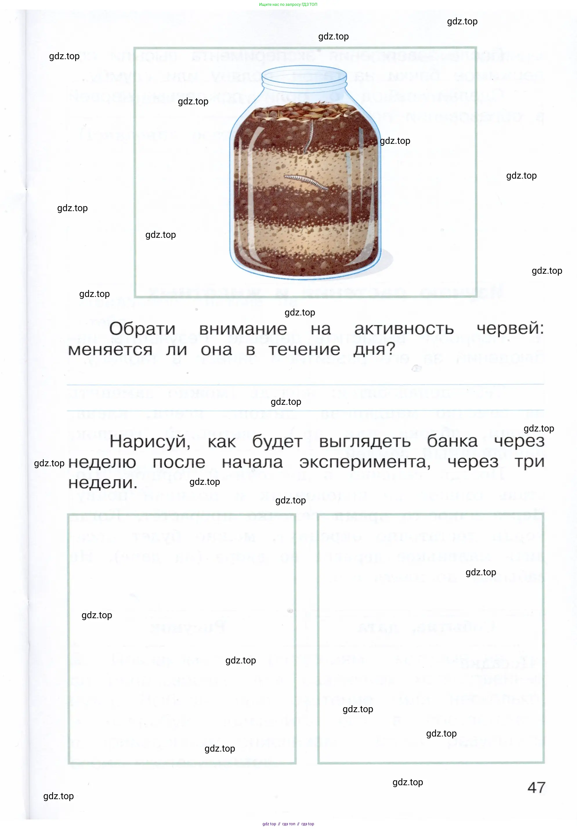 Окружающий мир, 3 класс Летние задания, авторы: Казанцева Ирина Викторовна, Архипова Ю И, Глаголева Юлия Игоревна, издательство Просвещение, Москва, 2022, белого цвета, страница 47