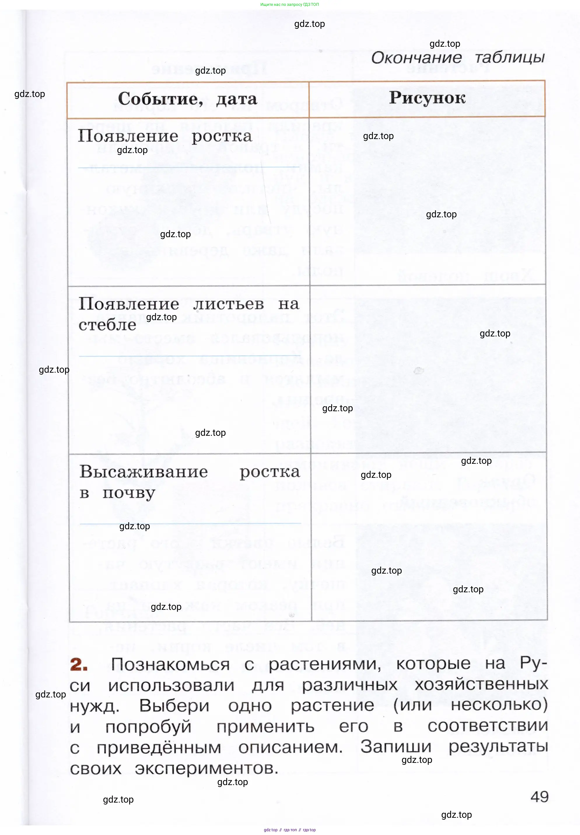 Окружающий мир, 3 класс Летние задания, авторы: Казанцева Ирина Викторовна, Архипова Ю И, Глаголева Юлия Игоревна, издательство Просвещение, Москва, 2022, белого цвета, страница 49