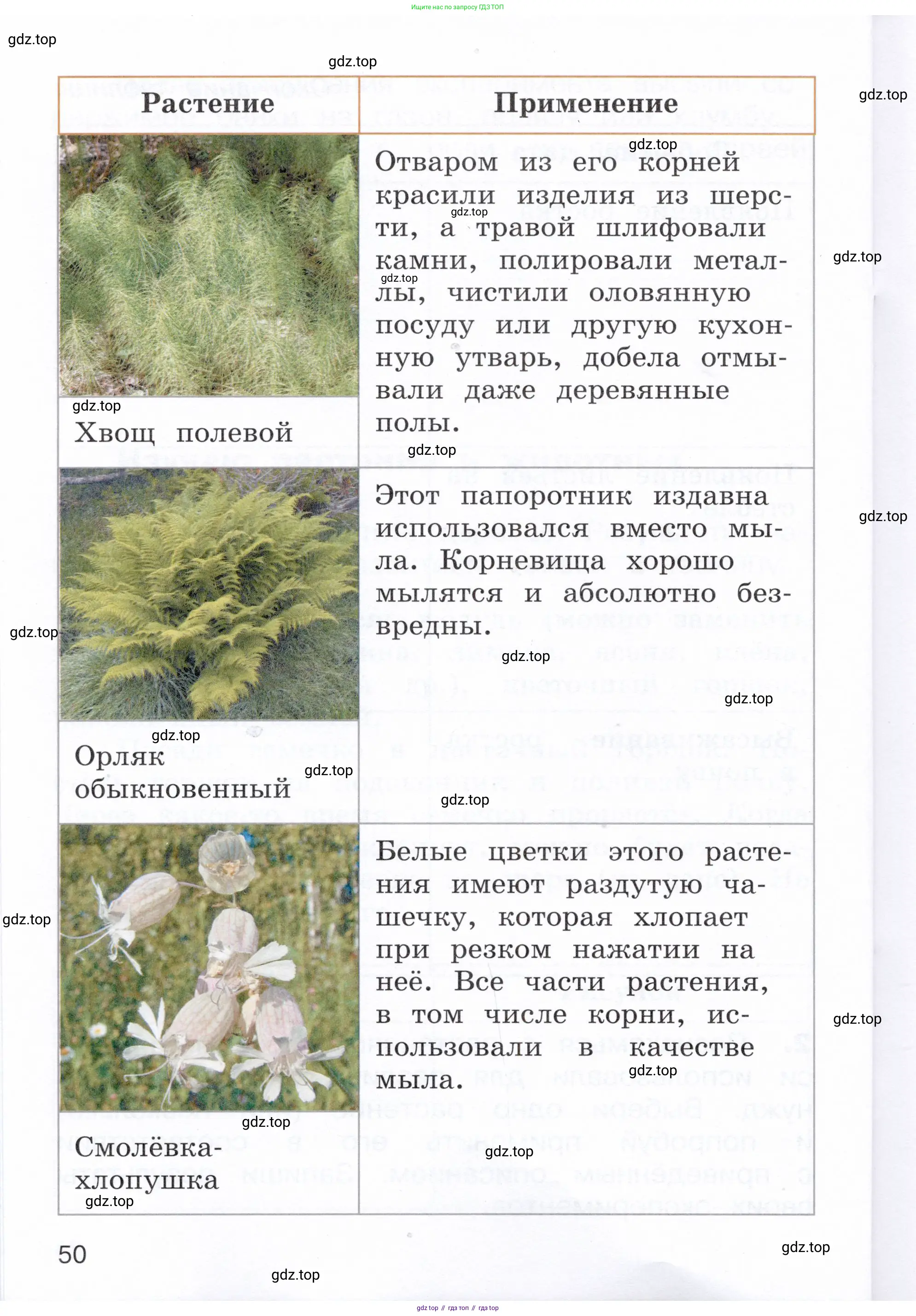Окружающий мир, 3 класс Летние задания, авторы: Казанцева Ирина Викторовна, Архипова Ю И, Глаголева Юлия Игоревна, издательство Просвещение, Москва, 2022, белого цвета, страница 50