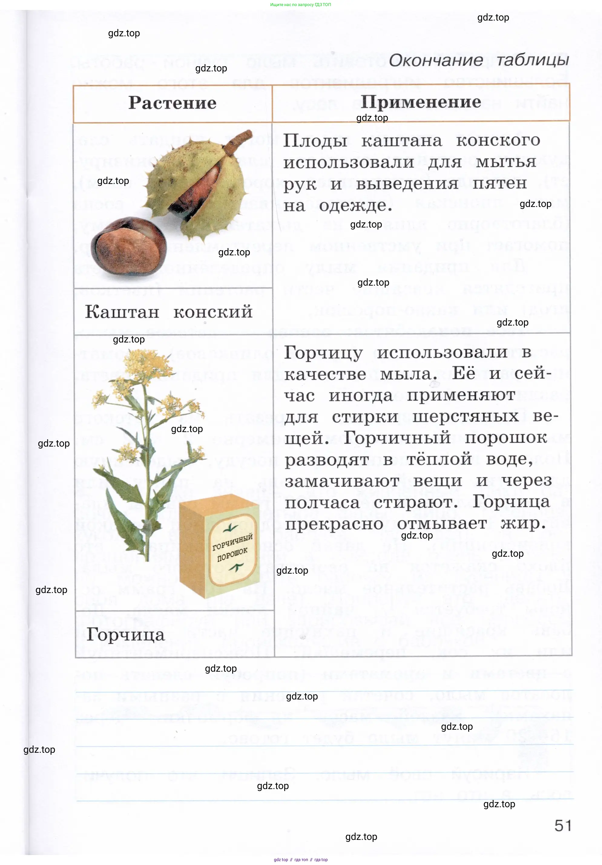 Окружающий мир, 3 класс Летние задания, авторы: Казанцева Ирина Викторовна, Архипова Ю И, Глаголева Юлия Игоревна, издательство Просвещение, Москва, 2022, белого цвета, страница 51