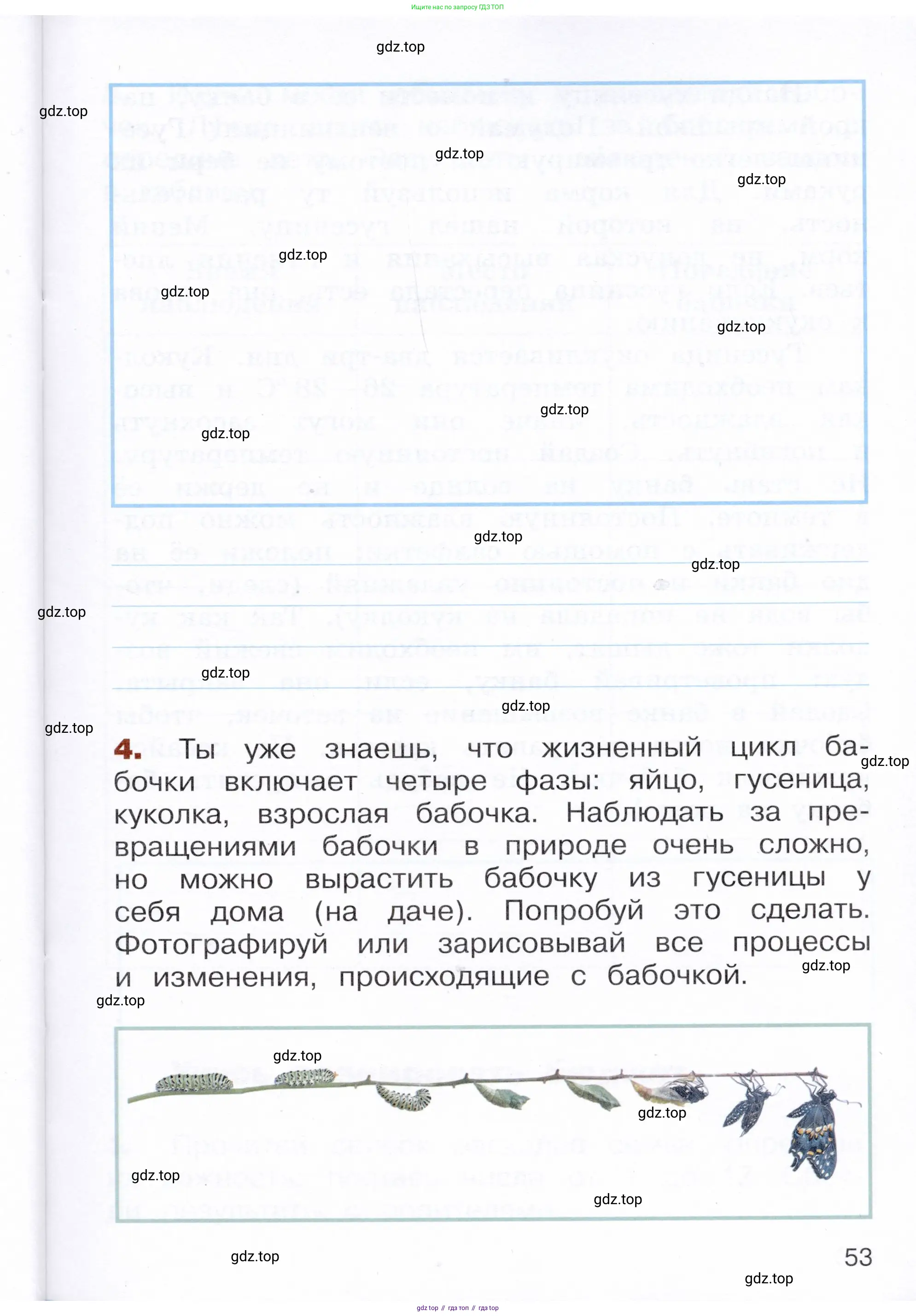 Окружающий мир, 3 класс Летние задания, авторы: Казанцева Ирина Викторовна, Архипова Ю И, Глаголева Юлия Игоревна, издательство Просвещение, Москва, 2022, белого цвета, страница 53