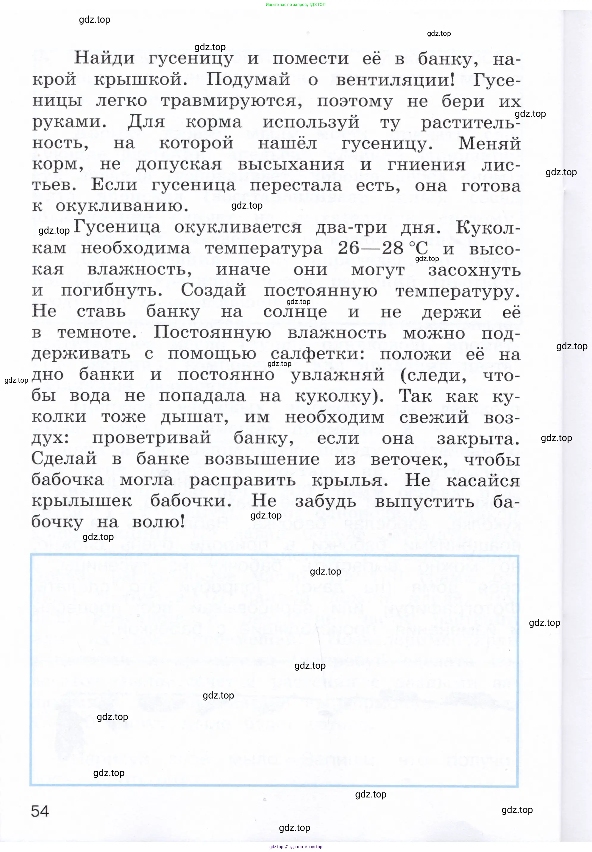 Окружающий мир, 3 класс Летние задания, авторы: Казанцева Ирина Викторовна, Архипова Ю И, Глаголева Юлия Игоревна, издательство Просвещение, Москва, 2022, белого цвета, страница 54