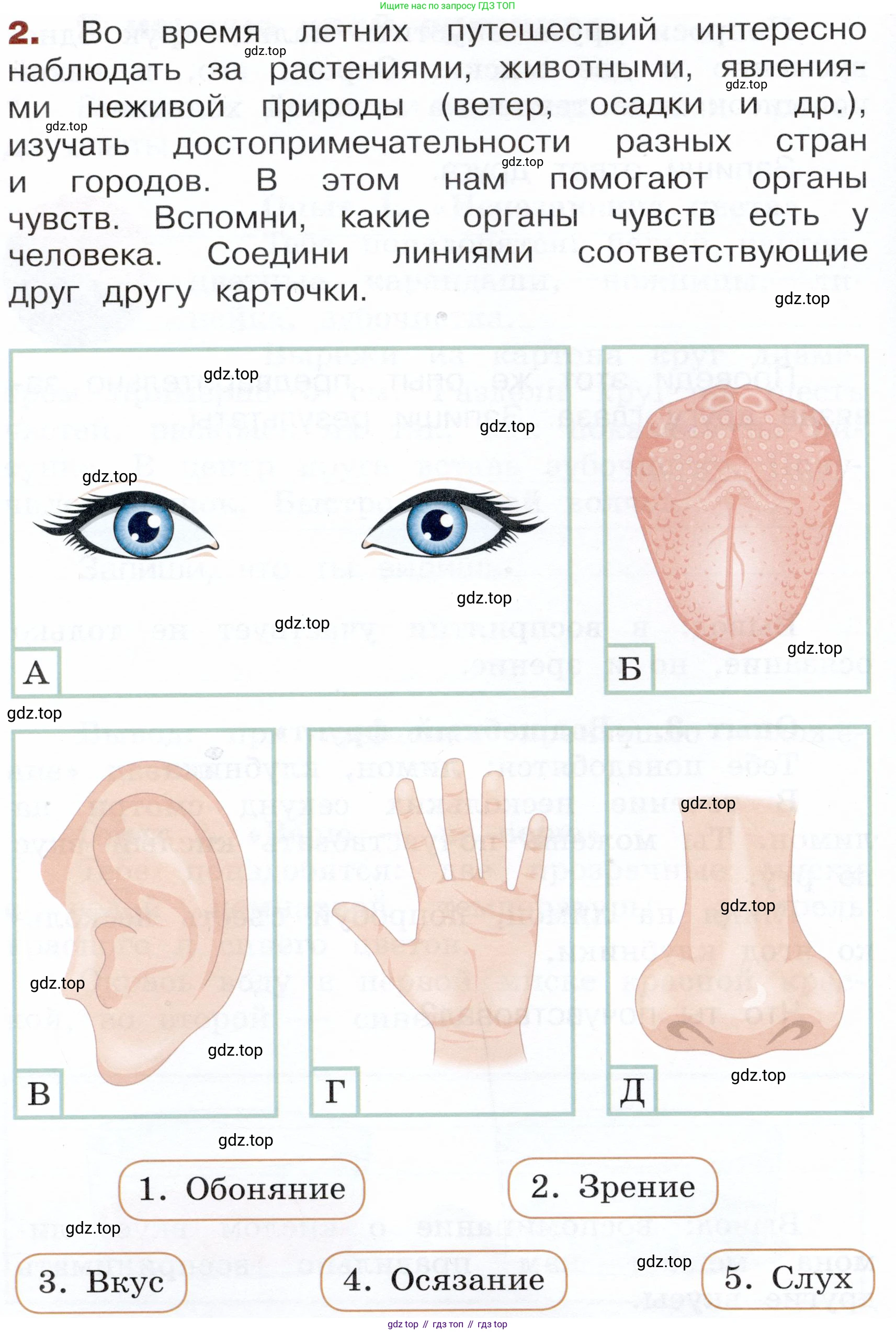 Окружающий мир, 3 класс Летние задания, авторы: Казанцева Ирина Викторовна, Архипова Ю И, Глаголева Юлия Игоревна, издательство Просвещение, Москва, 2022, белого цвета, страница 12, номер 2, Условие
