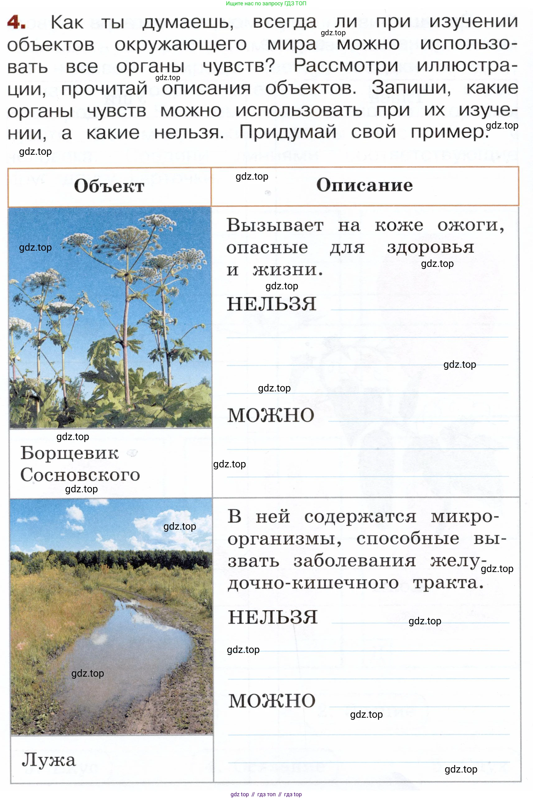 Окружающий мир, 3 класс Летние задания, авторы: Казанцева Ирина Викторовна, Архипова Ю И, Глаголева Юлия Игоревна, издательство Просвещение, Москва, 2022, белого цвета, страница 14, номер 4, Условие