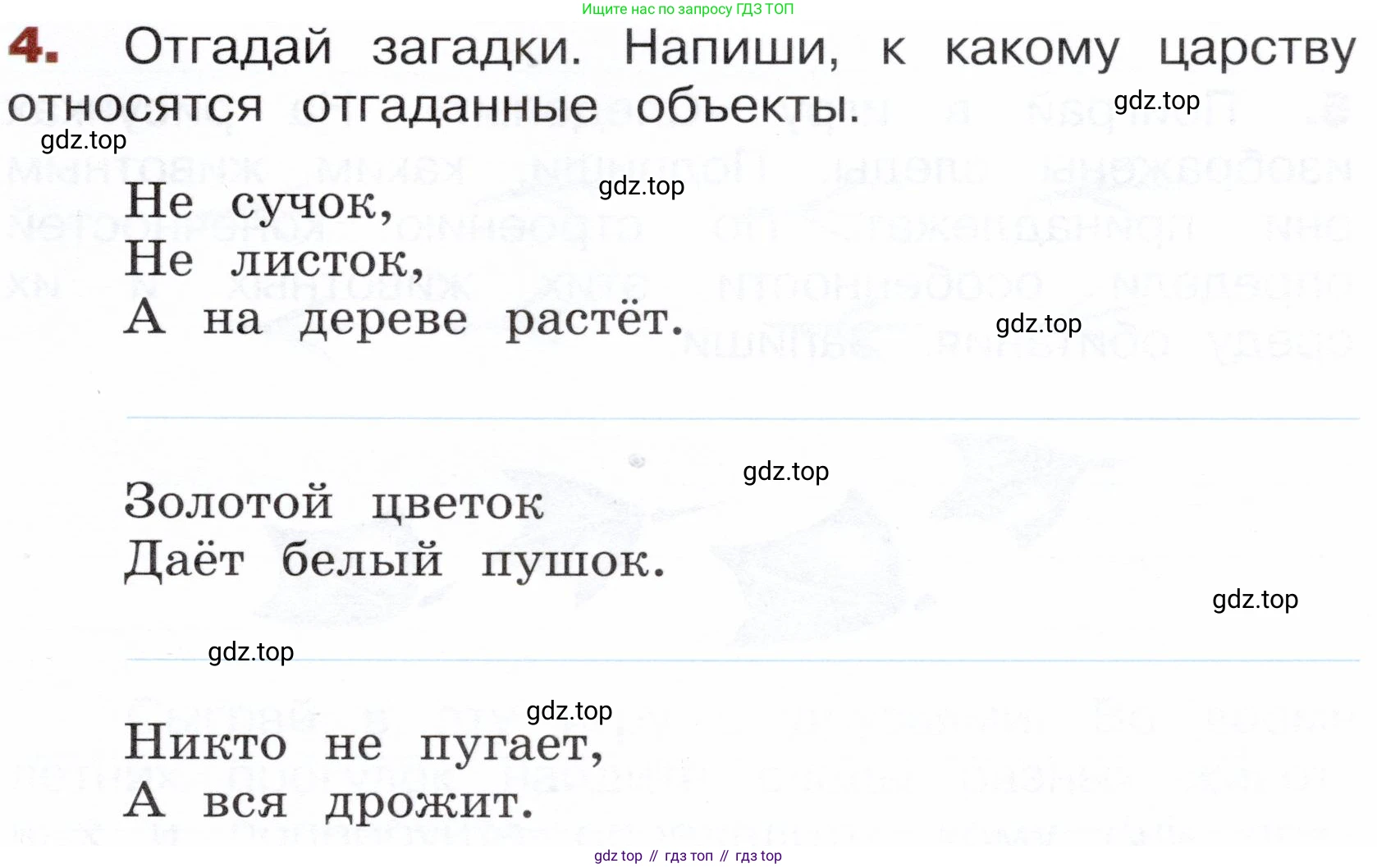 Окружающий мир, 3 класс Летние задания, авторы: Казанцева Ирина Викторовна, Архипова Ю И, Глаголева Юлия Игоревна, издательство Просвещение, Москва, 2022, белого цвета, страница 23, номер 4, Условие