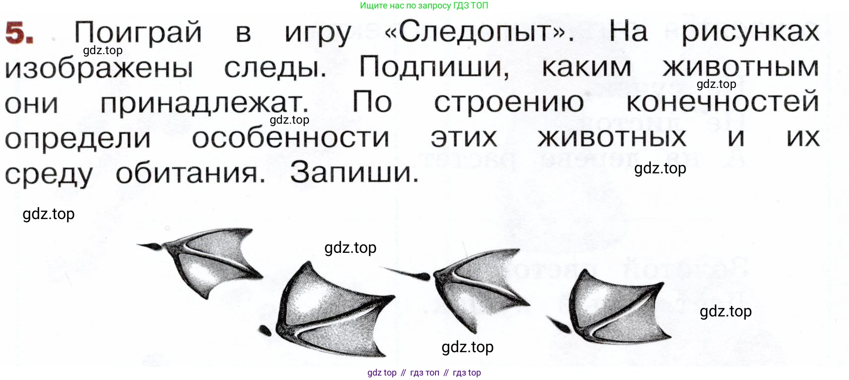 Окружающий мир, 3 класс Летние задания, авторы: Казанцева Ирина Викторовна, Архипова Ю И, Глаголева Юлия Игоревна, издательство Просвещение, Москва, 2022, белого цвета, страница 24, номер 5, Условие