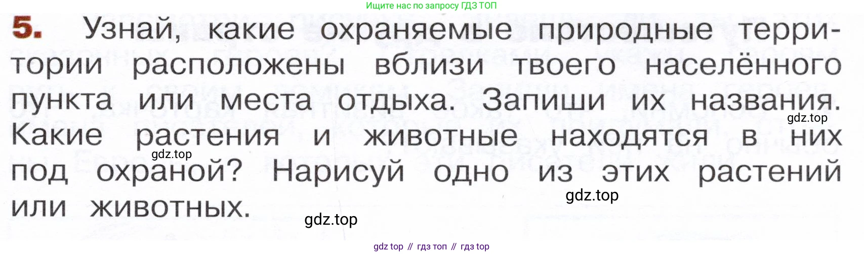Окружающий мир, 3 класс Летние задания, авторы: Казанцева Ирина Викторовна, Архипова Ю И, Глаголева Юлия Игоревна, издательство Просвещение, Москва, 2022, белого цвета, страница 31, номер 5, Условие