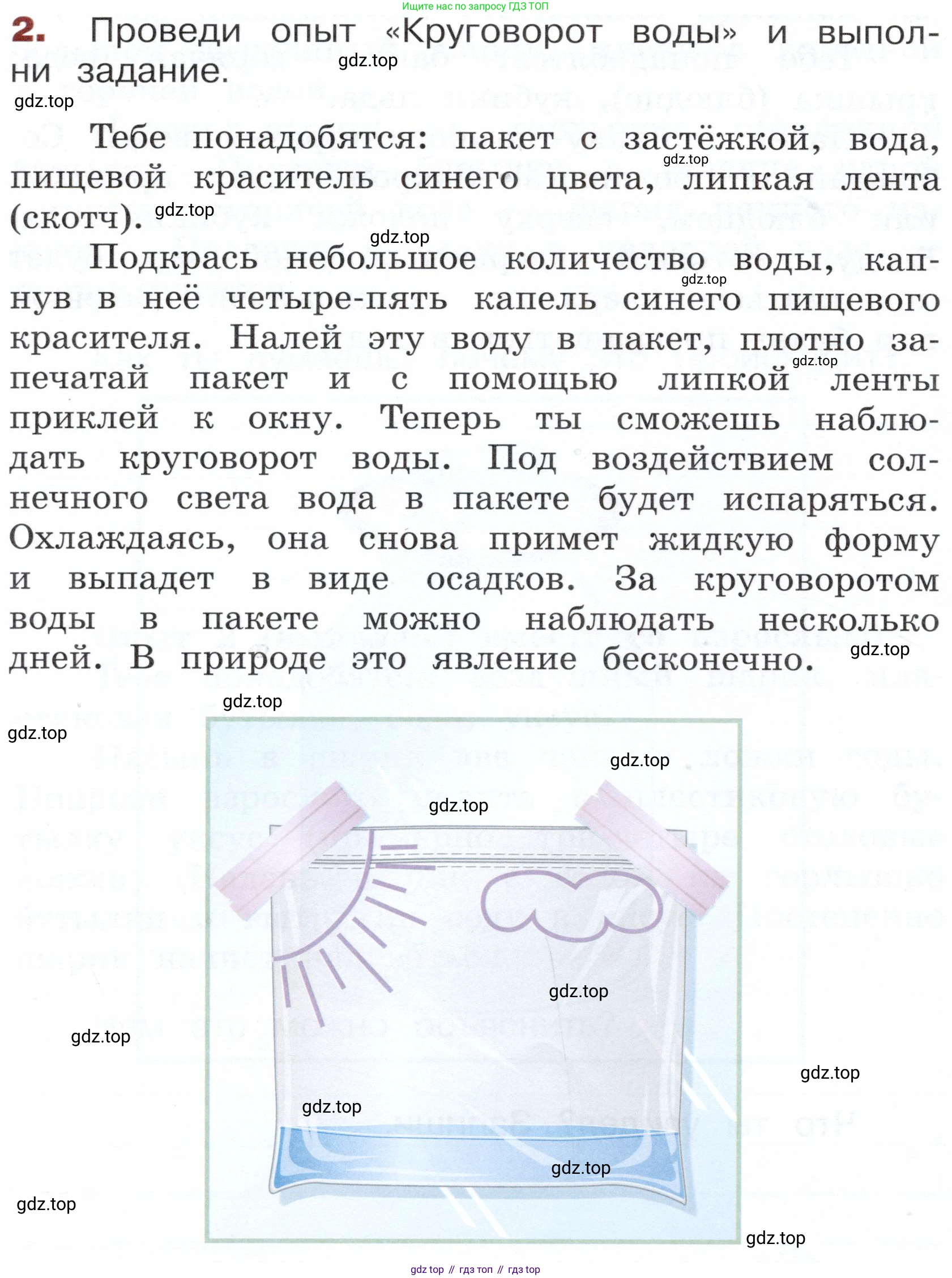 Окружающий мир, 3 класс Летние задания, авторы: Казанцева Ирина Викторовна, Архипова Ю И, Глаголева Юлия Игоревна, издательство Просвещение, Москва, 2022, белого цвета, страница 42, номер 2, Условие