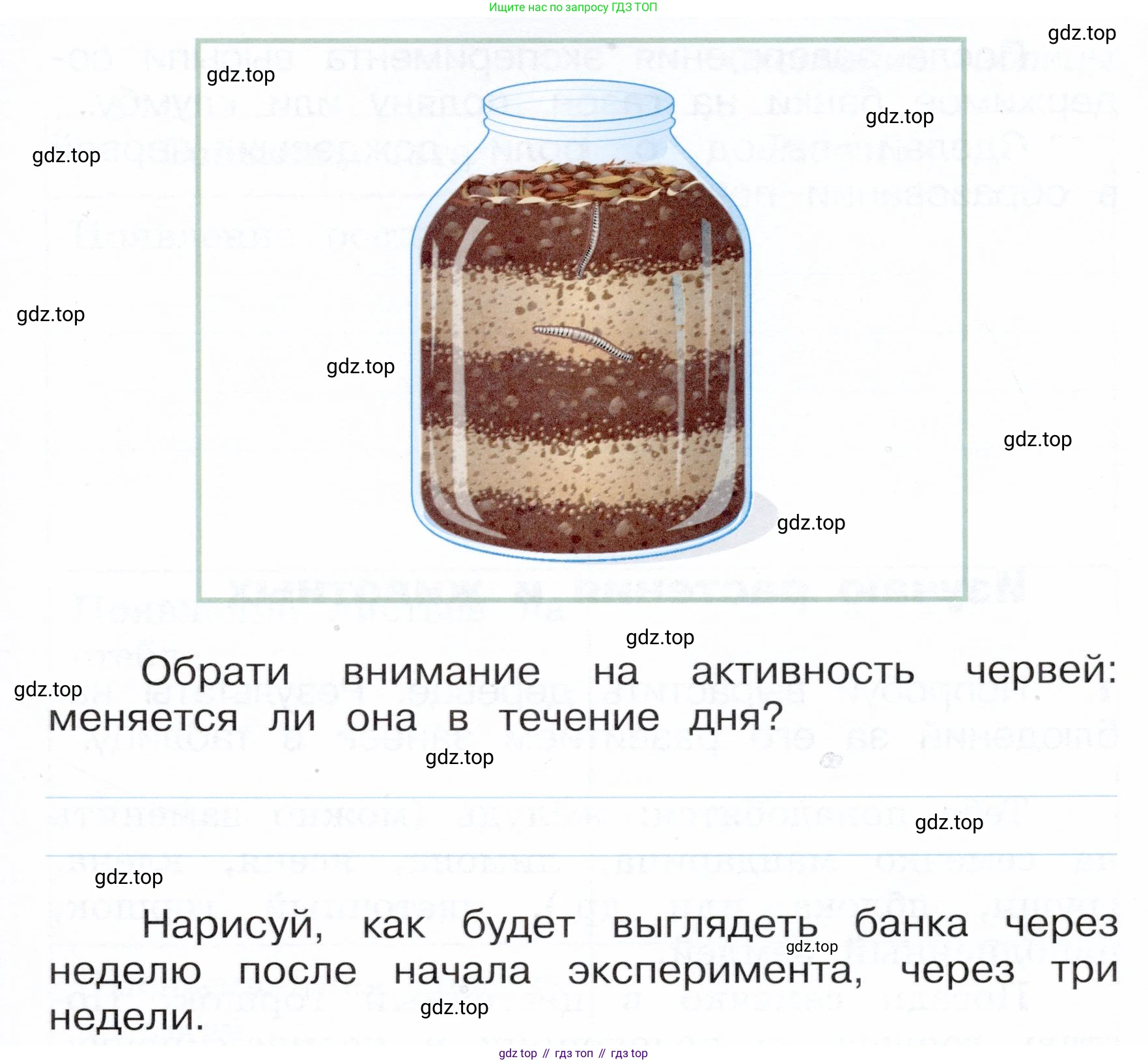 Окружающий мир, 3 класс Летние задания, авторы: Казанцева Ирина Викторовна, Архипова Ю И, Глаголева Юлия Игоревна, издательство Просвещение, Москва, 2022, белого цвета, страница 46, номер 2, Условие (продолжение 2)