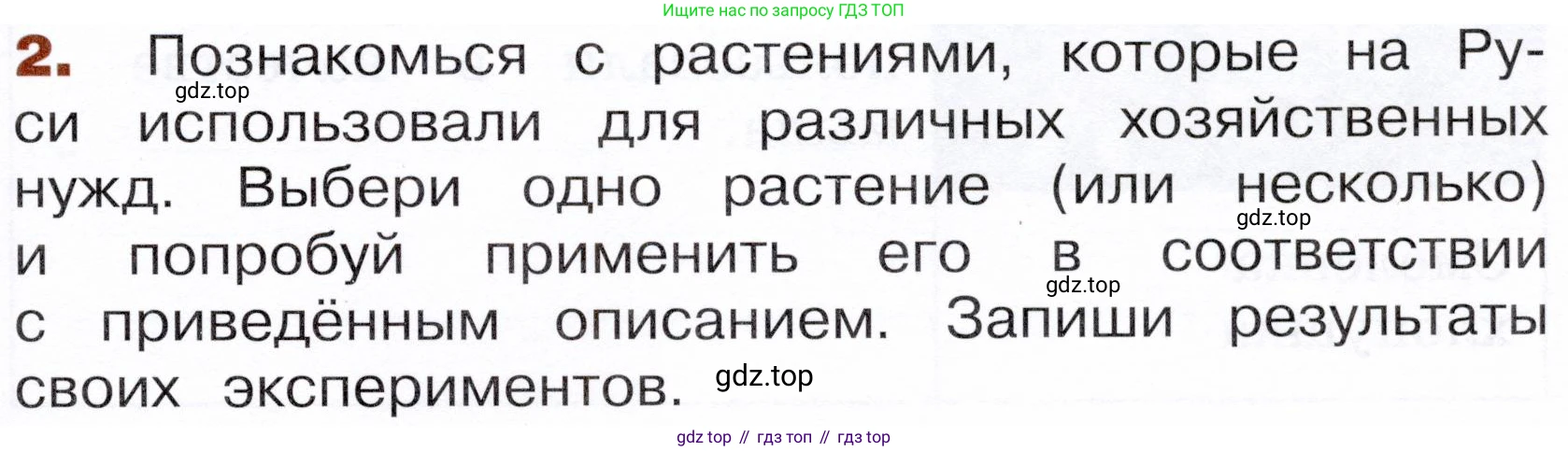 Окружающий мир, 3 класс Летние задания, авторы: Казанцева Ирина Викторовна, Архипова Ю И, Глаголева Юлия Игоревна, издательство Просвещение, Москва, 2022, белого цвета, страница 49, номер 2, Условие