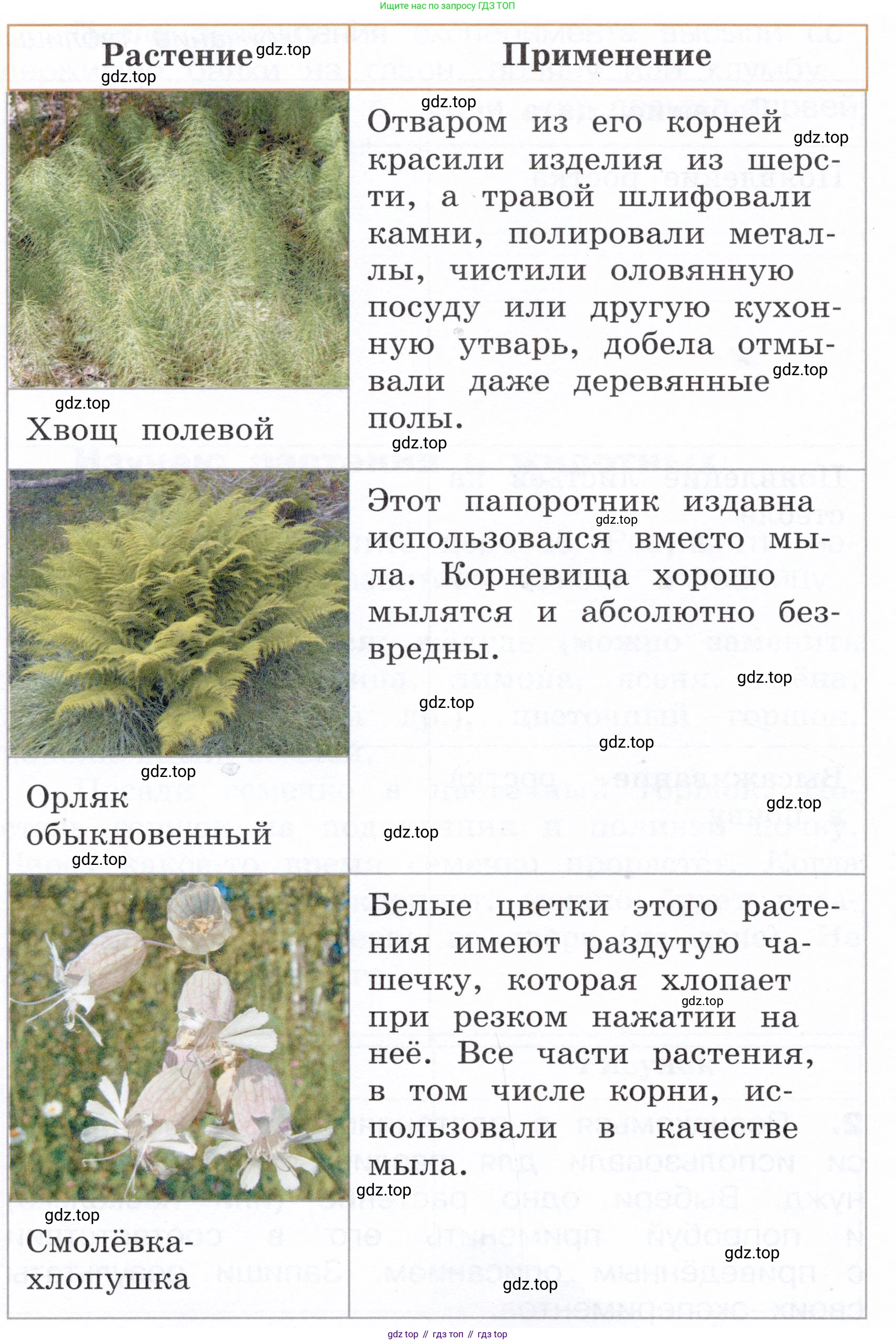 Окружающий мир, 3 класс Летние задания, авторы: Казанцева Ирина Викторовна, Архипова Ю И, Глаголева Юлия Игоревна, издательство Просвещение, Москва, 2022, белого цвета, страница 49, номер 2, Условие (продолжение 2)