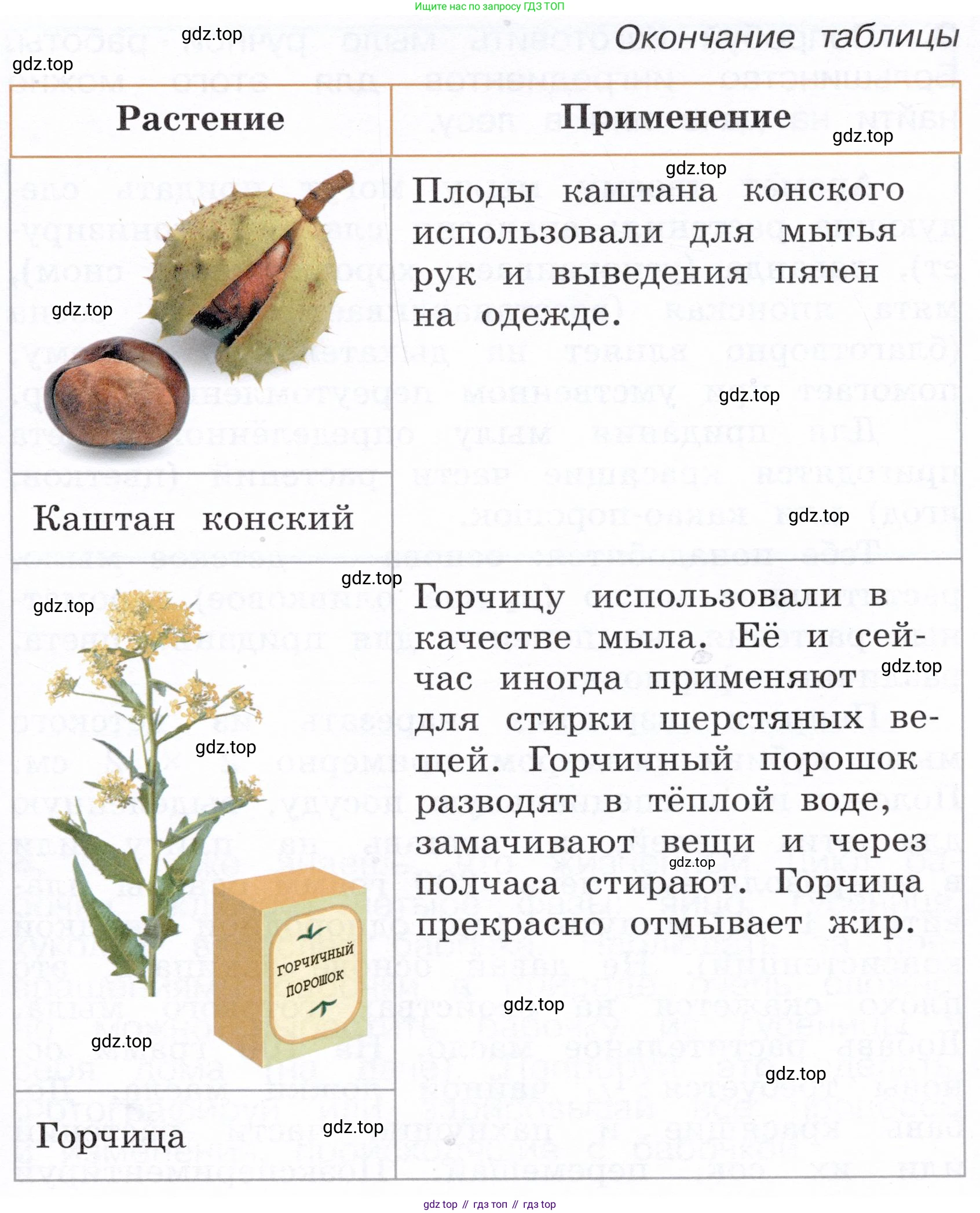 Окружающий мир, 3 класс Летние задания, авторы: Казанцева Ирина Викторовна, Архипова Ю И, Глаголева Юлия Игоревна, издательство Просвещение, Москва, 2022, белого цвета, страница 49, номер 2, Условие (продолжение 3)