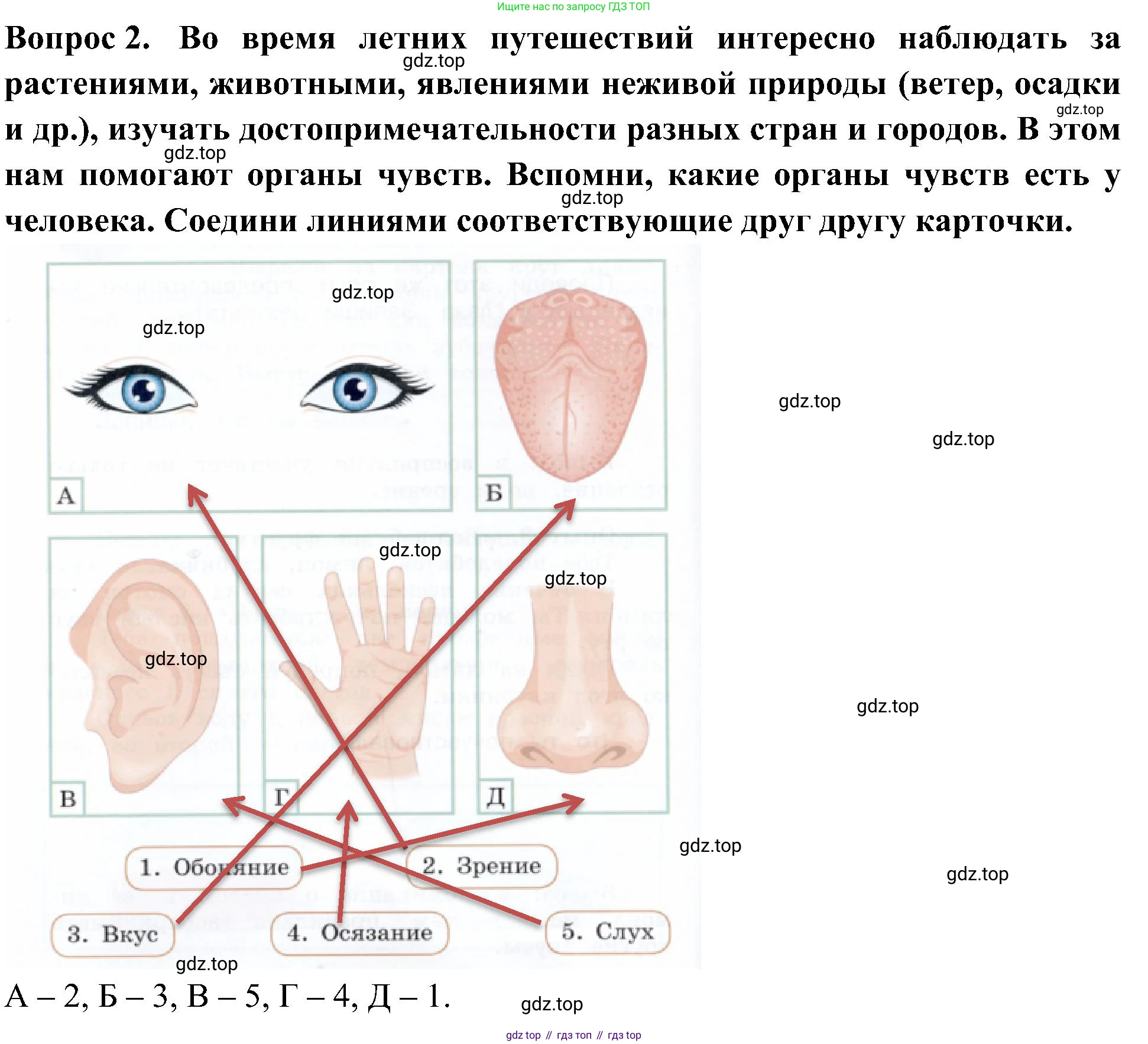 Окружающий мир, 3 класс Летние задания, авторы: Казанцева Ирина Викторовна, Архипова Ю И, Глаголева Юлия Игоревна, издательство Просвещение, Москва, 2022, белого цвета, страница 12, номер 2, Решение