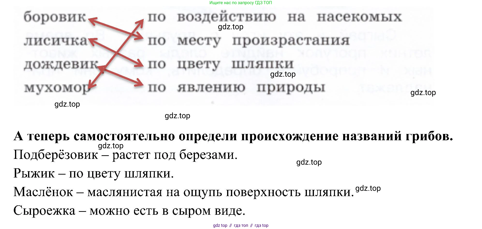 Окружающий мир, 3 класс Летние задания, авторы: Казанцева Ирина Викторовна, Архипова Ю И, Глаголева Юлия Игоревна, издательство Просвещение, Москва, 2022, белого цвета, страница 26, номер 7, Решение