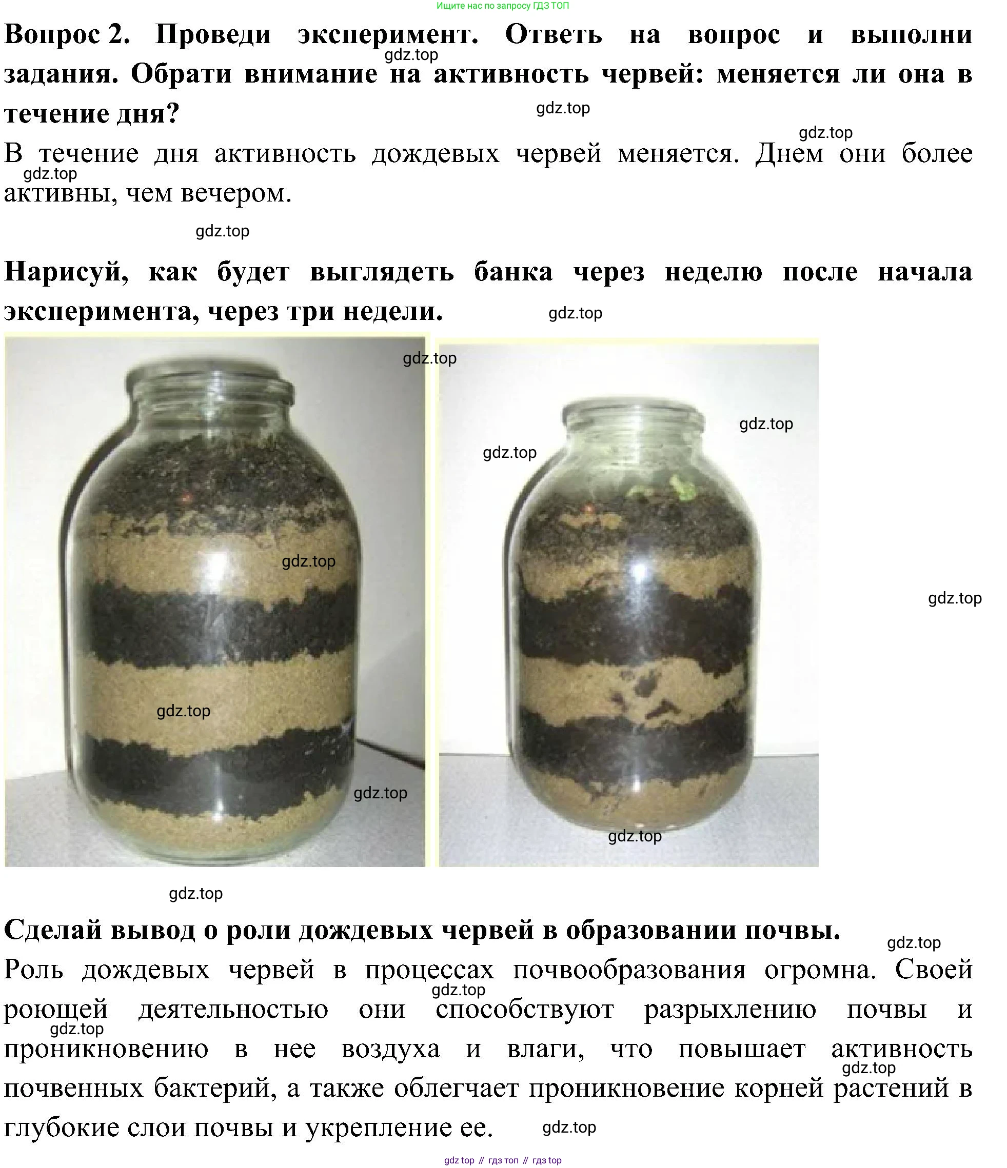 Окружающий мир, 3 класс Летние задания, авторы: Казанцева Ирина Викторовна, Архипова Ю И, Глаголева Юлия Игоревна, издательство Просвещение, Москва, 2022, белого цвета, страница 46, номер 2, Решение