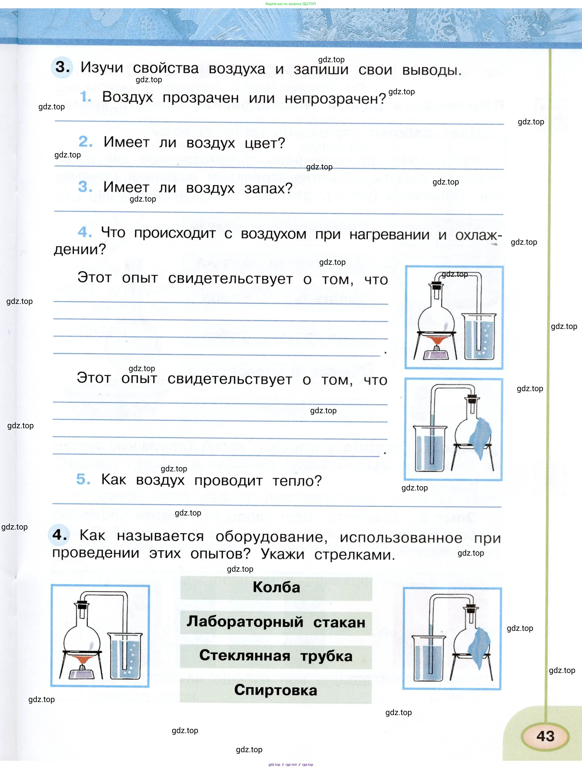 Окружающий мир, 3 класс рабочая тетрадь, авторы: Плешаков Андрей Анатольевич, Новицкая Марина Юрьевна, издательство Просвещение, Москва, 2019, белого цвета, Часть 1, страница 43