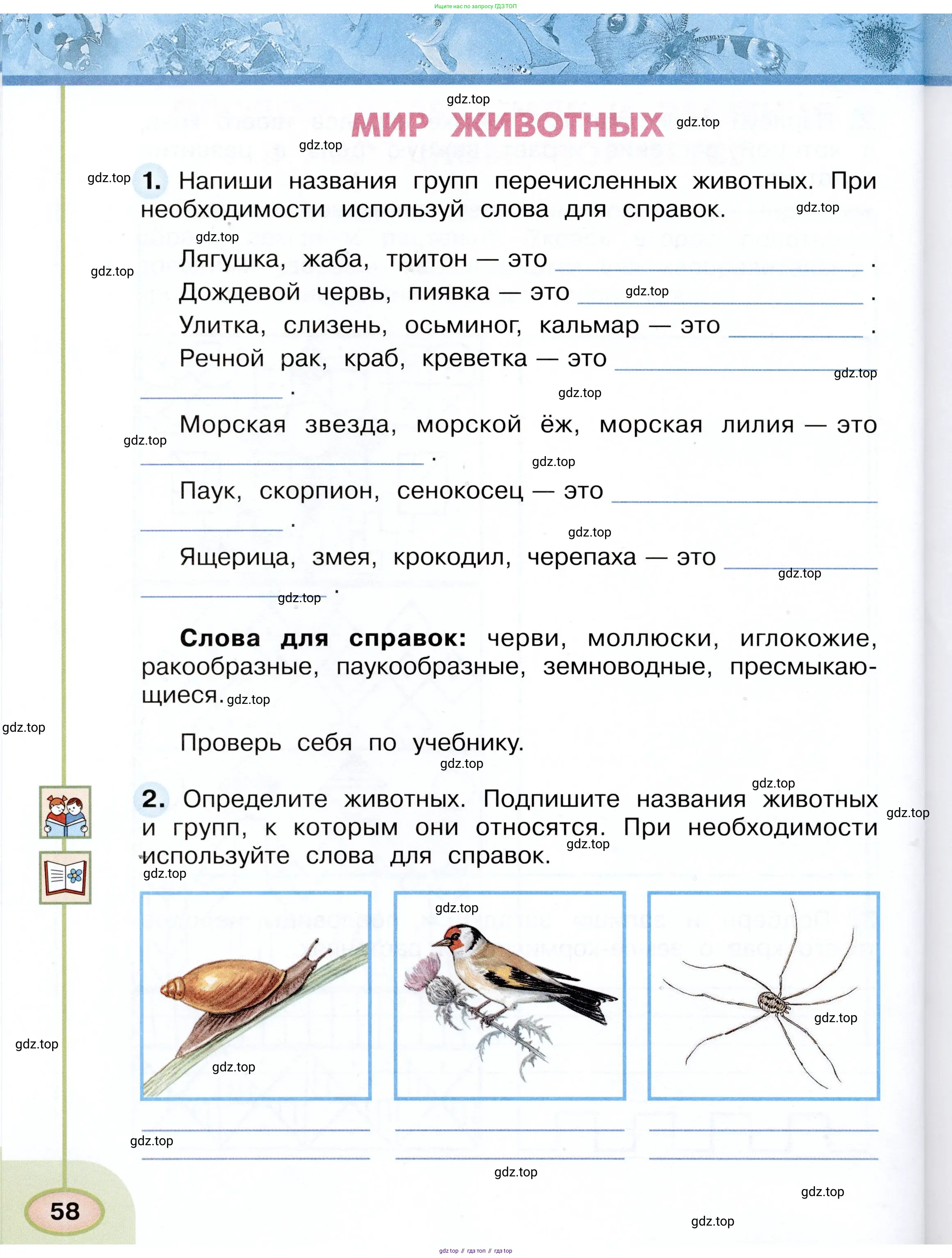 Окружающий мир, 3 класс рабочая тетрадь, авторы: Плешаков Андрей Анатольевич, Новицкая Марина Юрьевна, издательство Просвещение, Москва, 2019, белого цвета, Часть 1, страница 58