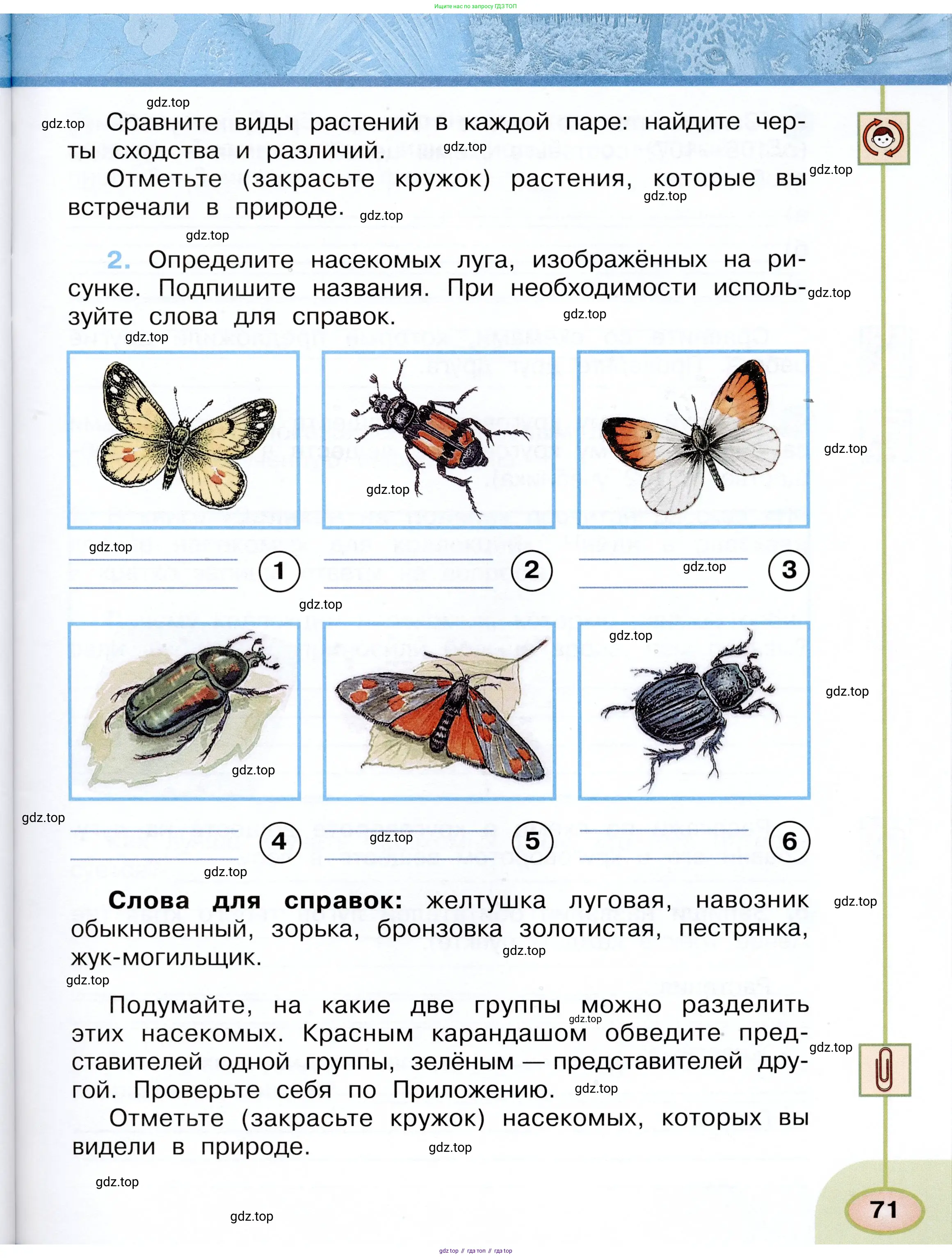 Окружающий мир, 3 класс рабочая тетрадь, авторы: Плешаков Андрей Анатольевич, Новицкая Марина Юрьевна, издательство Просвещение, Москва, 2019, белого цвета, Часть 2, страница 71