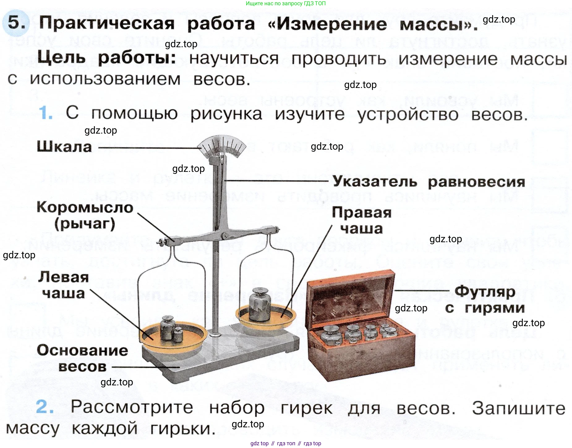 Окружающий мир, 3 класс рабочая тетрадь, авторы: Плешаков Андрей Анатольевич, Новицкая Марина Юрьевна, издательство Просвещение, Москва, 2019, белого цвета, Часть 1, страница 9, номер 5, Условие