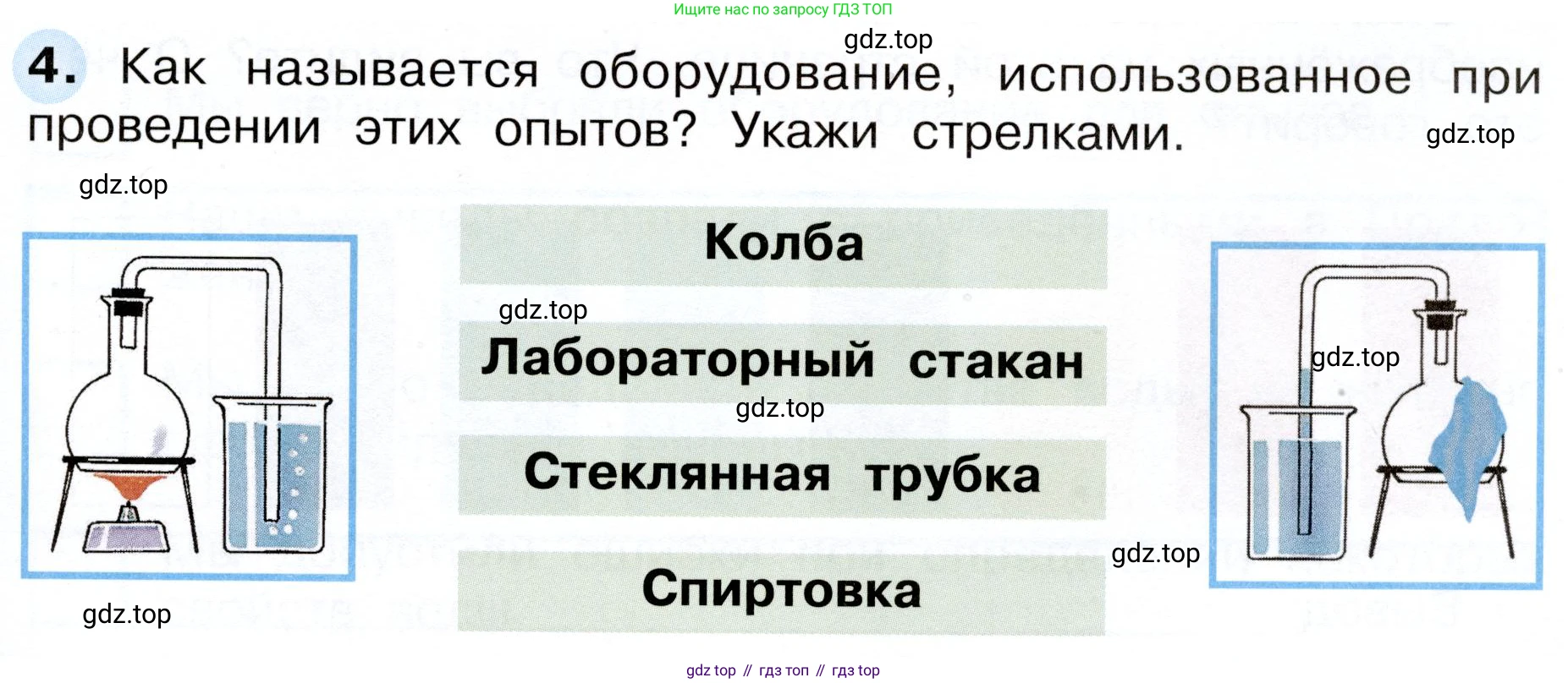Окружающий мир, 3 класс рабочая тетрадь, авторы: Плешаков Андрей Анатольевич, Новицкая Марина Юрьевна, издательство Просвещение, Москва, 2019, белого цвета, Часть 1, страница 43, номер 4, Условие