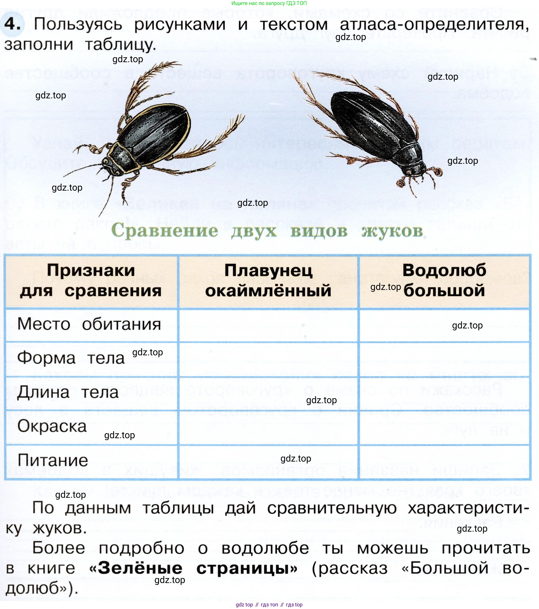 Окружающий мир, 3 класс рабочая тетрадь, авторы: Плешаков Андрей Анатольевич, Новицкая Марина Юрьевна, издательство Просвещение, Москва, 2019, белого цвета, Часть 1, страница 75, номер 4, Условие