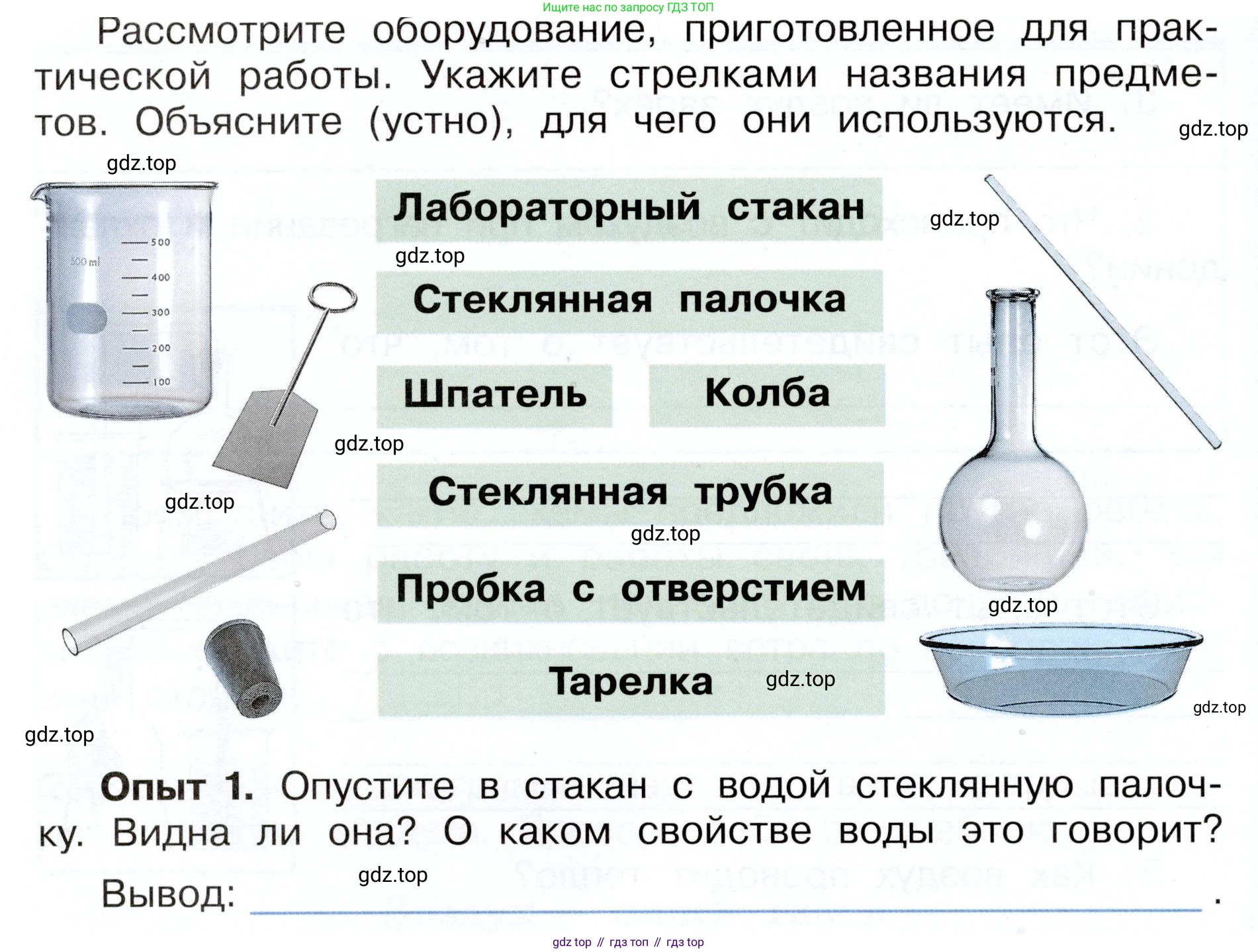 Окружающий мир, 3 класс рабочая тетрадь, авторы: Плешаков Андрей Анатольевич, Новицкая Марина Юрьевна, издательство Просвещение, Москва, 2019, белого цвета, Часть 1, страница 44, номер 1, Условие