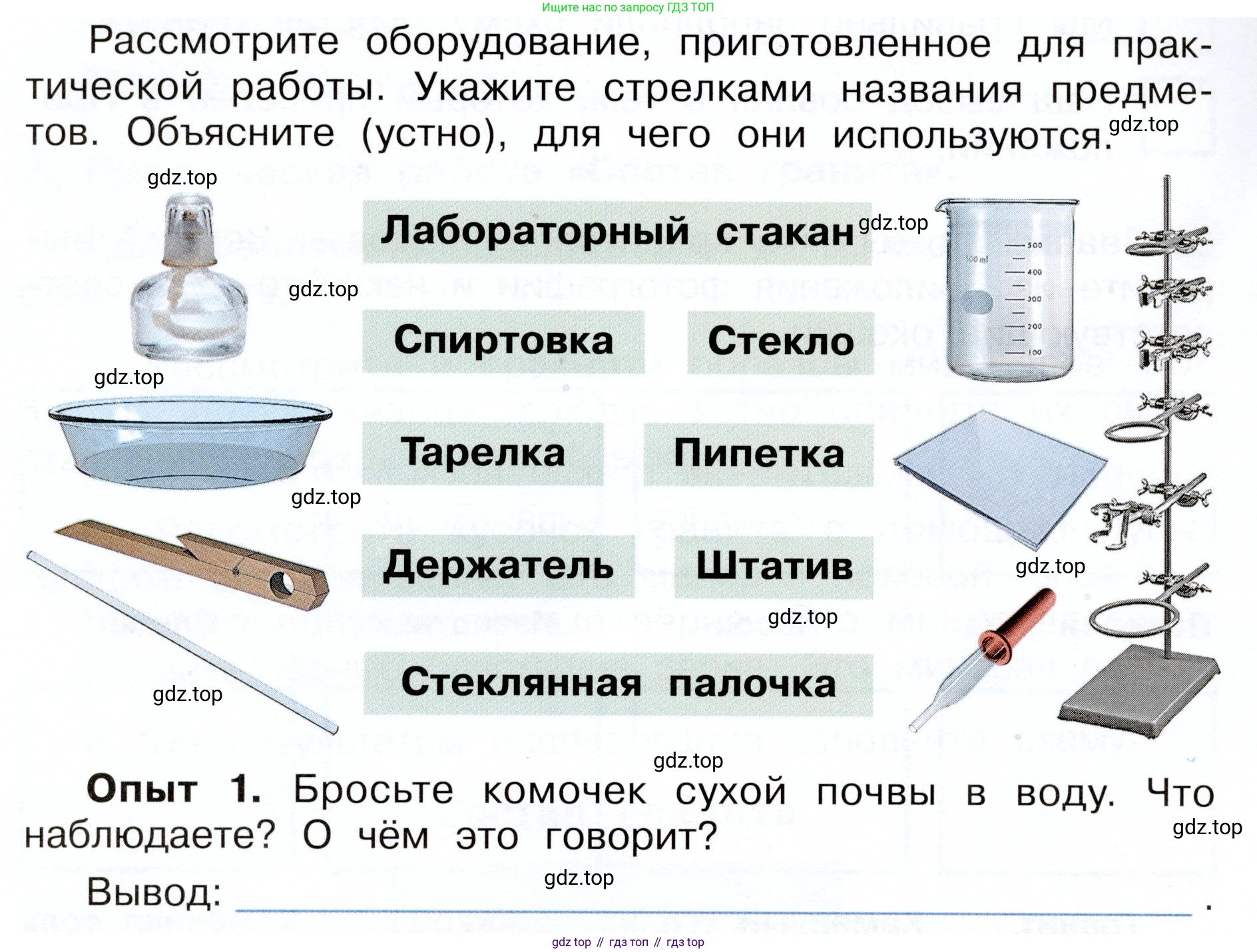 Окружающий мир, 3 класс рабочая тетрадь, авторы: Плешаков Андрей Анатольевич, Новицкая Марина Юрьевна, издательство Просвещение, Москва, 2019, белого цвета, Часть 1, страница 50, номер 1, Условие