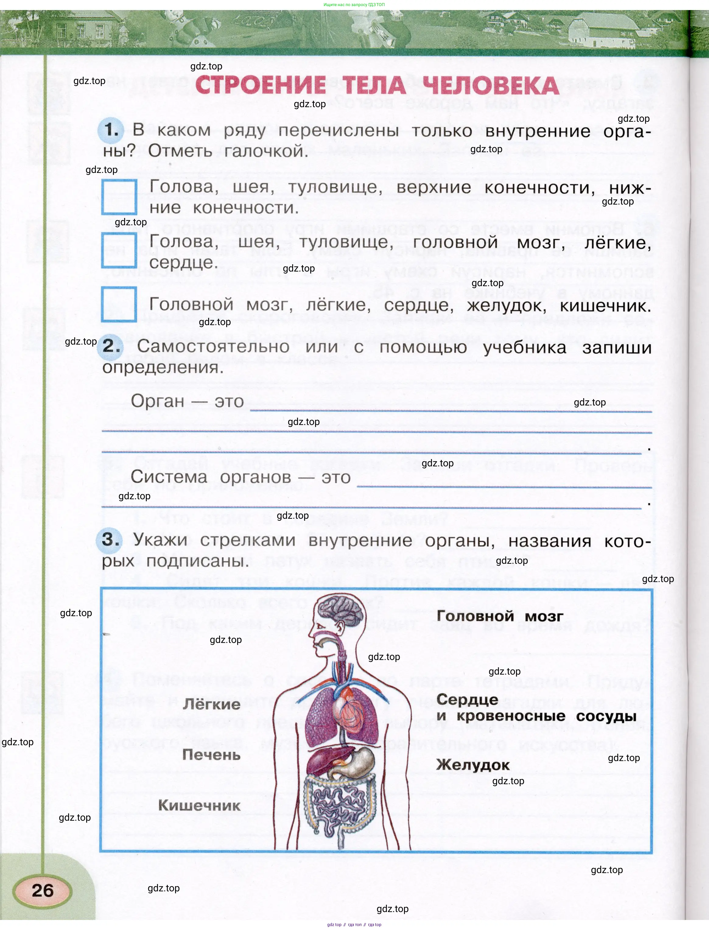 Окружающий мир, 3 класс рабочая тетрадь, авторы: Плешаков Андрей Анатольевич, Новицкая Марина Юрьевна, издательство Просвещение, Москва, 2019, белого цвета, Часть 1, страница 26