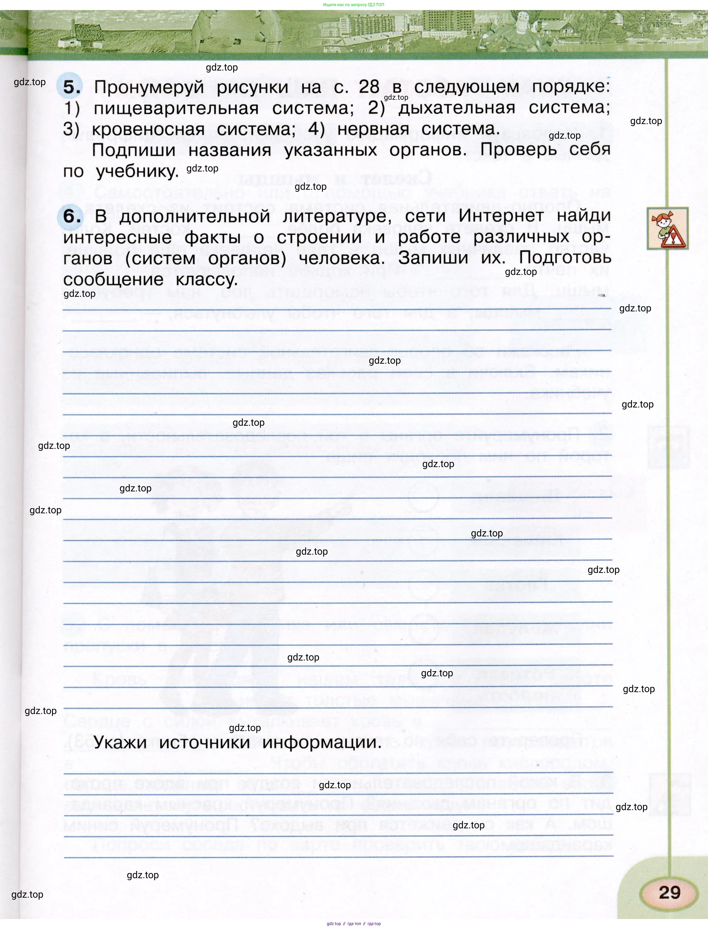 Окружающий мир, 3 класс рабочая тетрадь, авторы: Плешаков Андрей Анатольевич, Новицкая Марина Юрьевна, издательство Просвещение, Москва, 2019, белого цвета, Часть 1, страница 29