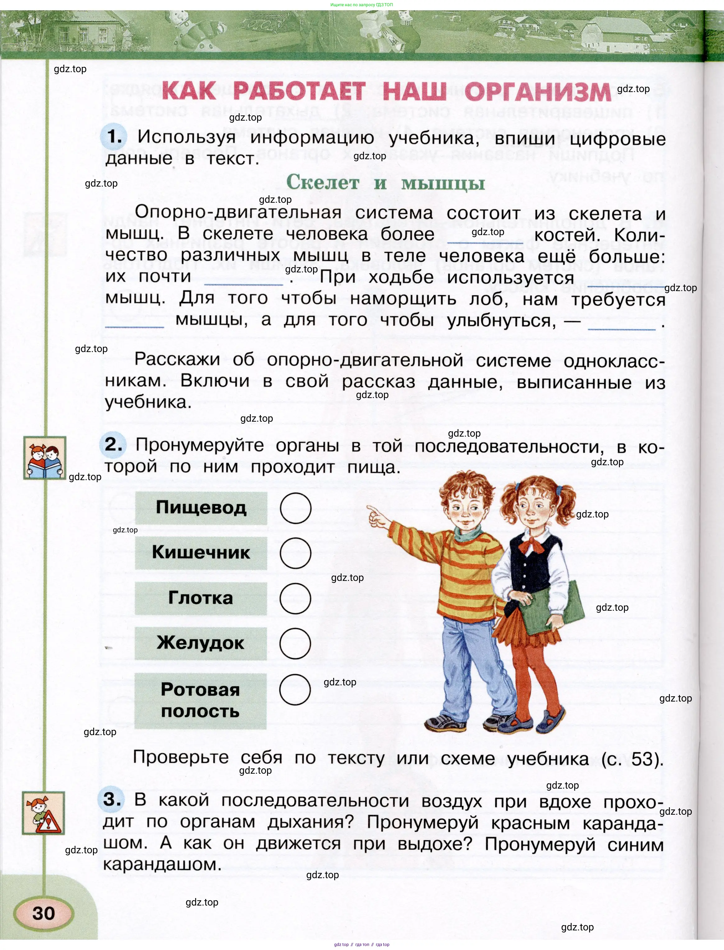 Окружающий мир, 3 класс рабочая тетрадь, авторы: Плешаков Андрей Анатольевич, Новицкая Марина Юрьевна, издательство Просвещение, Москва, 2019, белого цвета, Часть 2, страница 30