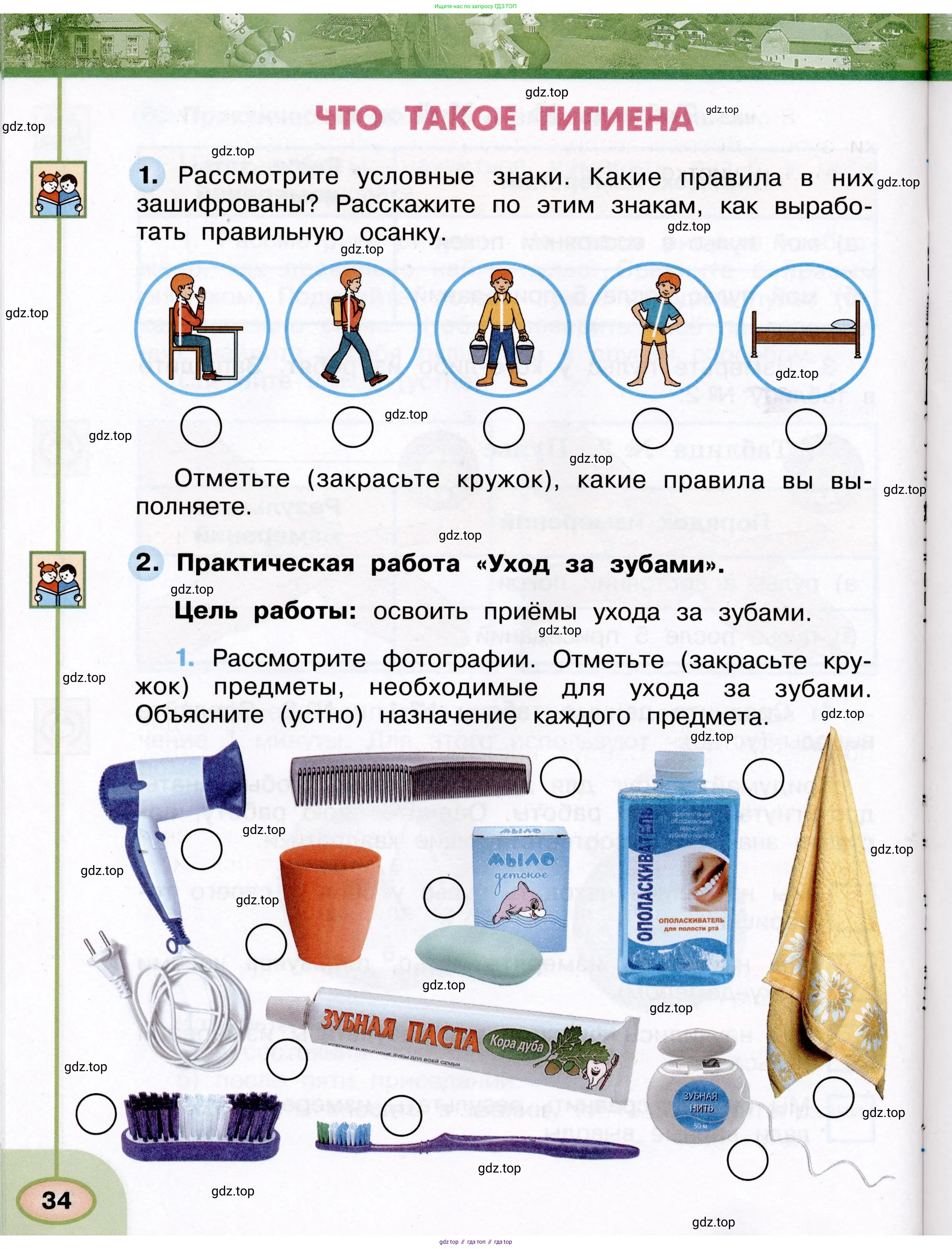 Окружающий мир, 3 класс рабочая тетрадь, авторы: Плешаков Андрей Анатольевич, Новицкая Марина Юрьевна, издательство Просвещение, Москва, 2019, белого цвета, Часть 1, страница 34